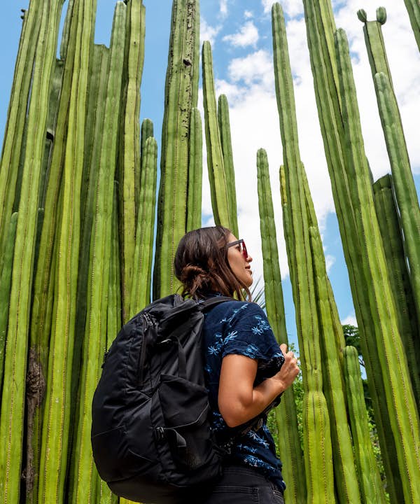 person wearing backpack surrounded by tall cacti 