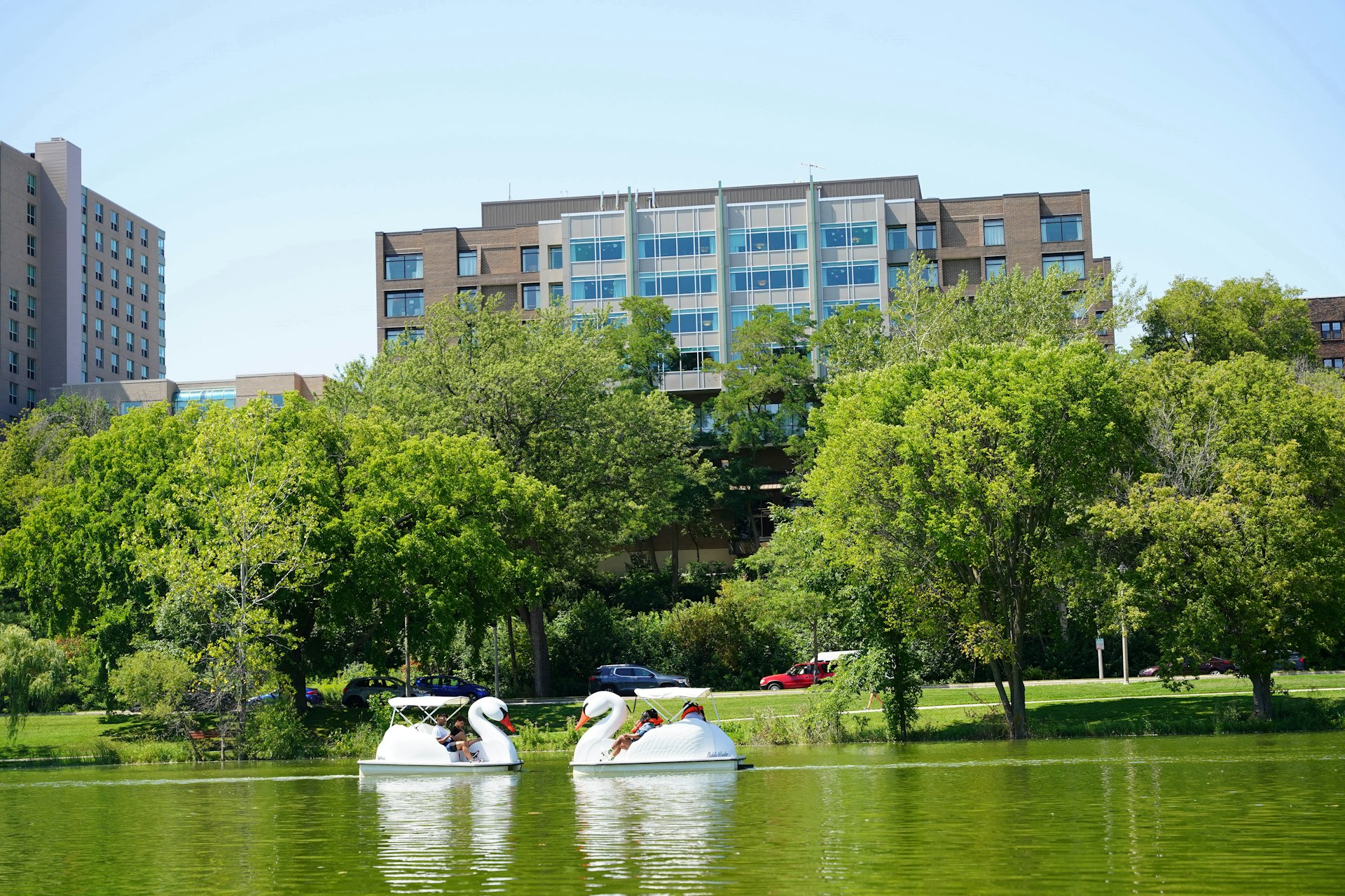 People using swan pedal boats at Veterans Park