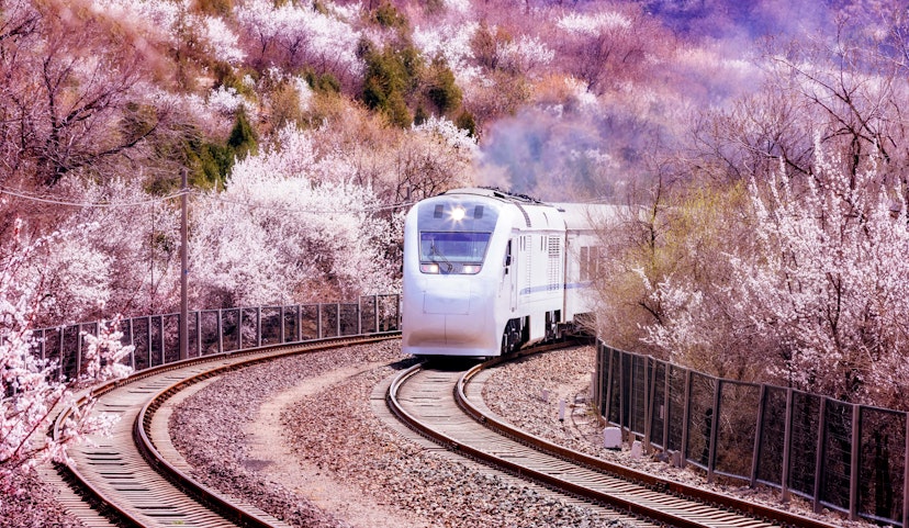 china train spring.jpg