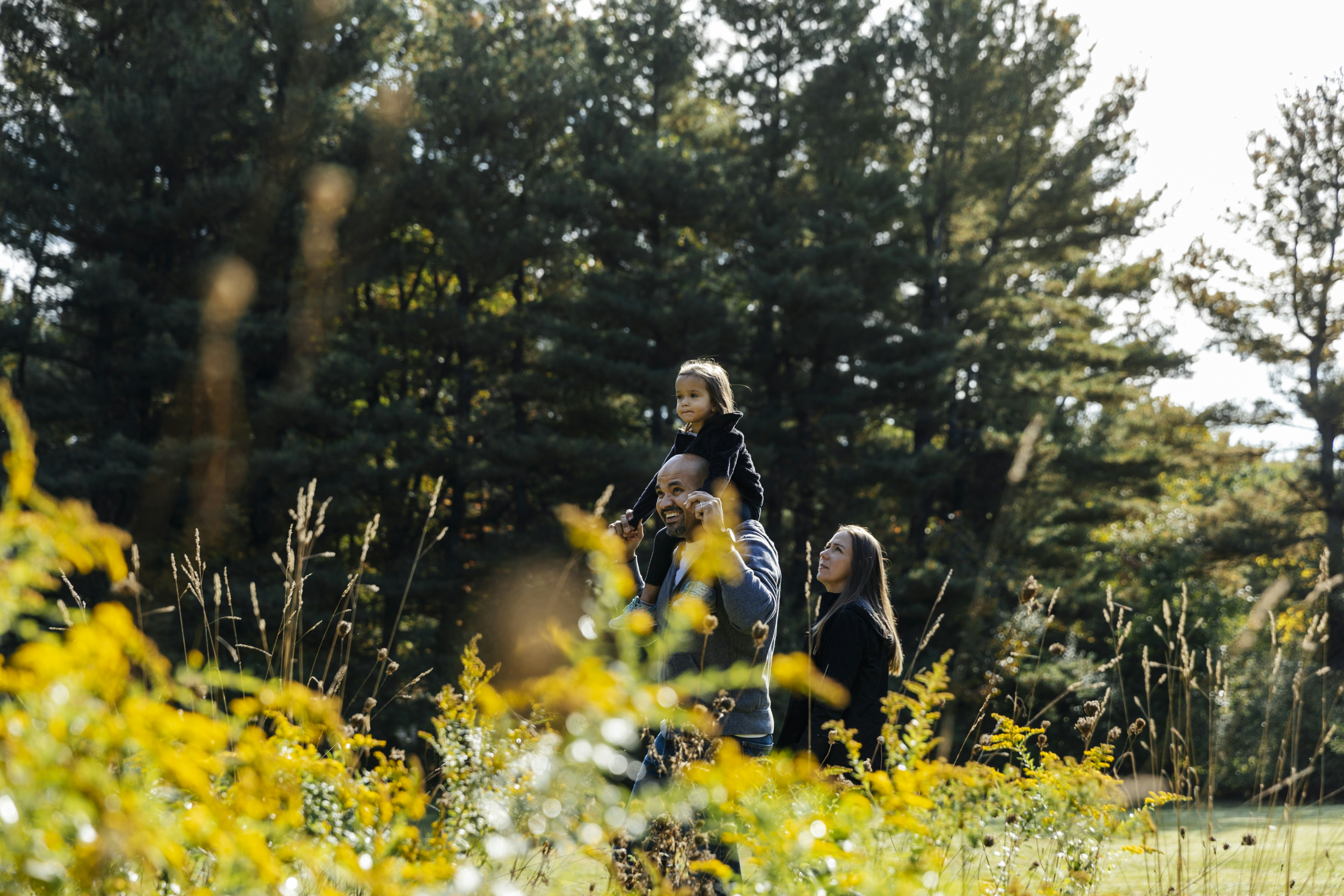 Family walking outdoors in field on sunny day