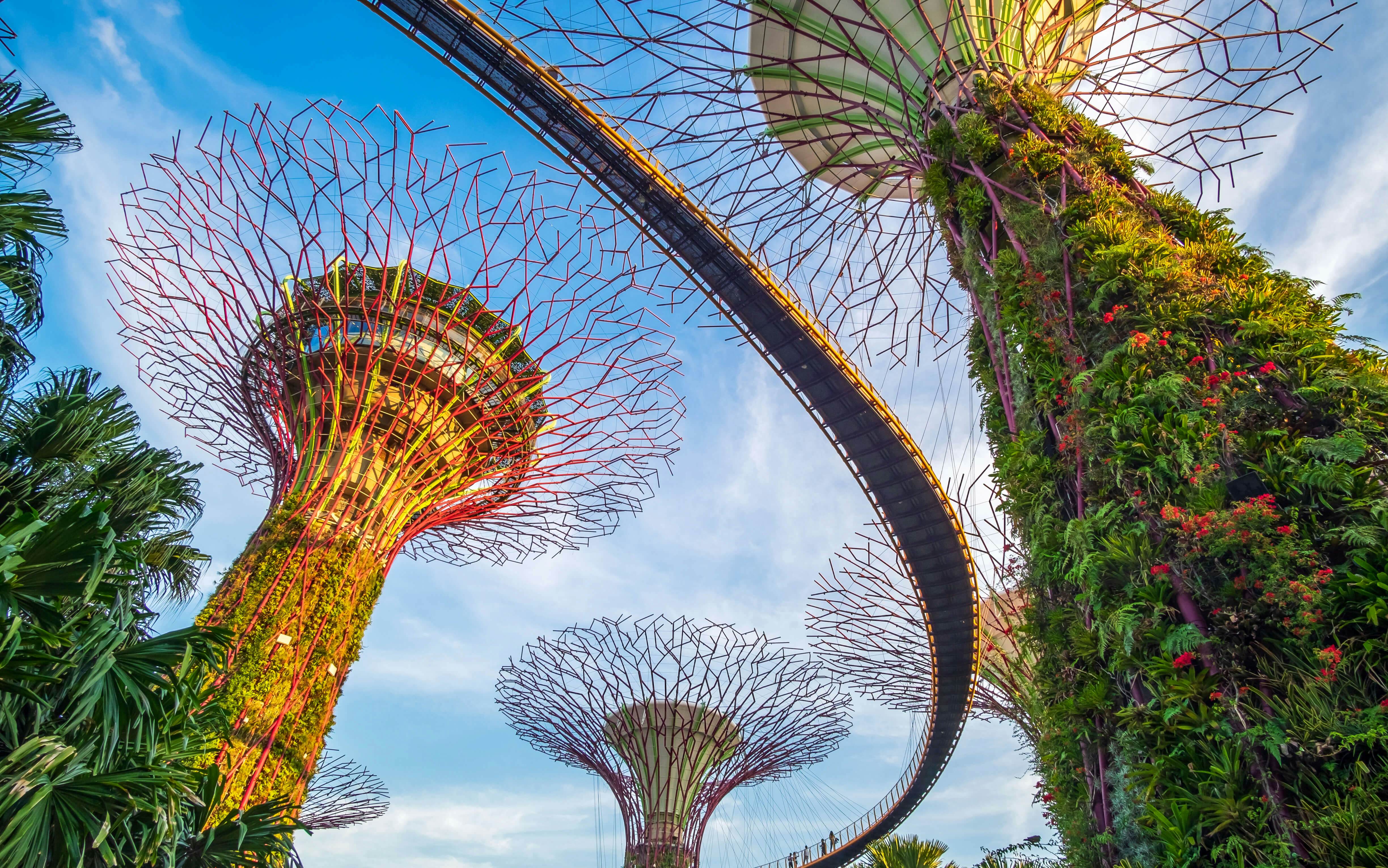 Singapore travel - Lonely Planet | Asia