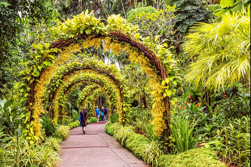 Visitors walking on a pathway lined with small yellow orchid flowers on arch supports in the Singapore Botanic Gardens