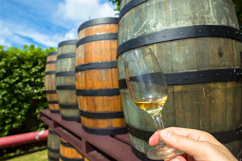 Eine Person hält während einer Rumtour auf Barbados Rum in einem Glas