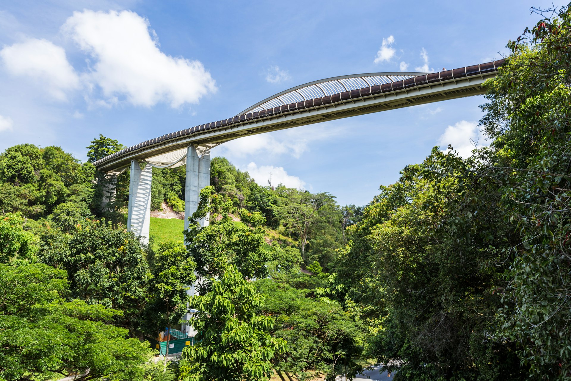 Singapore's highest pedestrian bridge, Henderson Waves, over lush greenery on a partly cloudy day