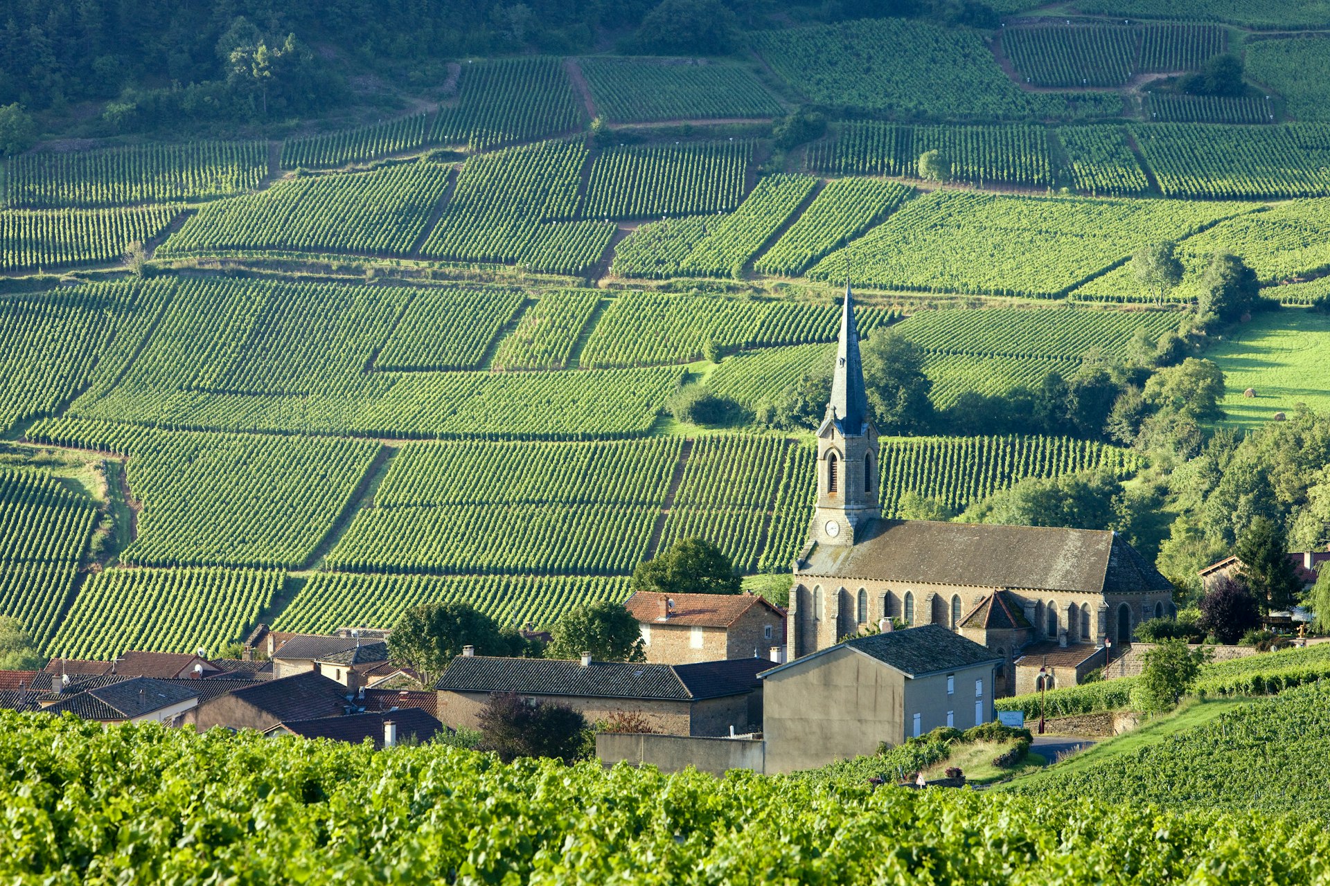 French village with a stone church backed by vineyards