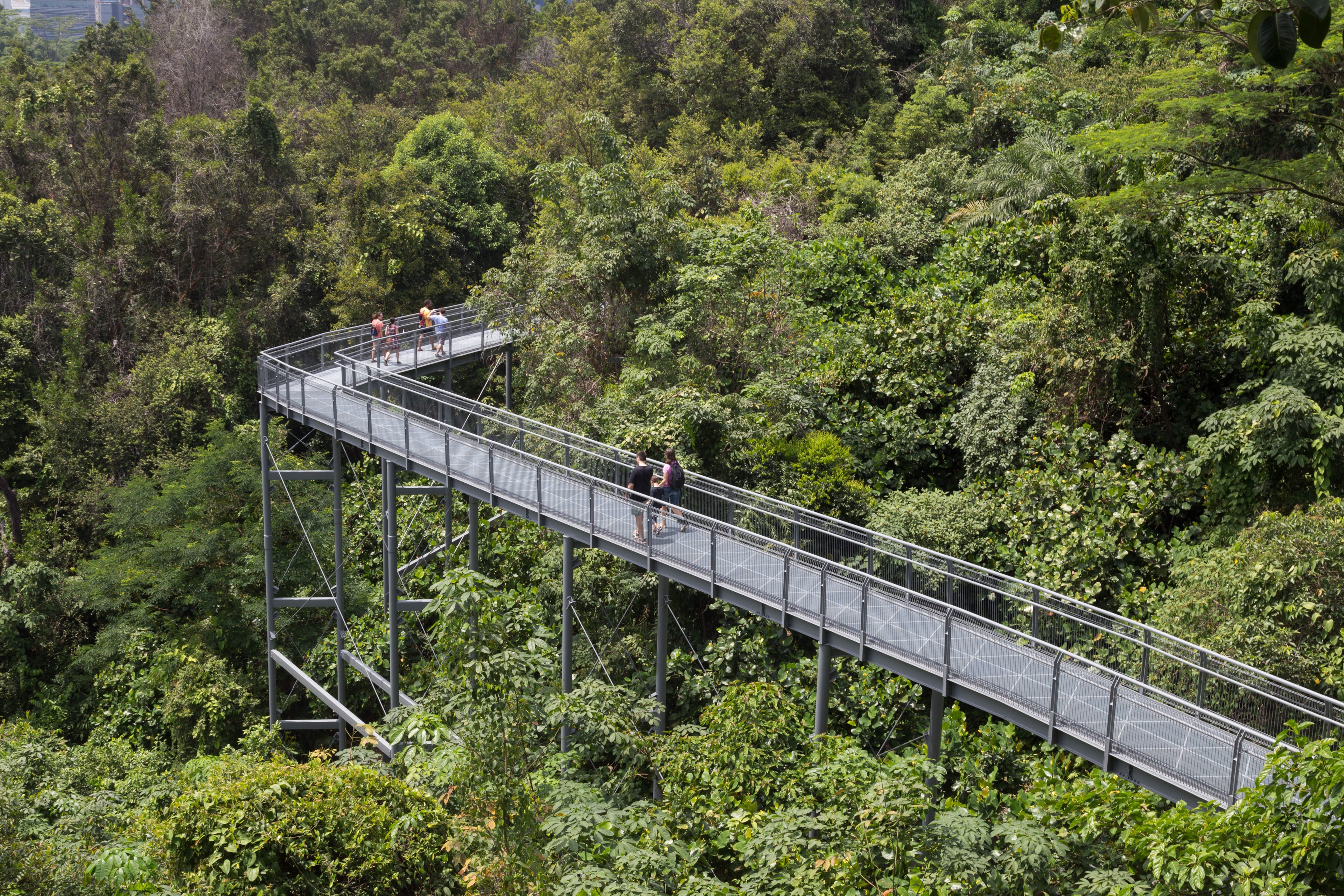 People enjoying a walk on the canopy walkway in the Southern Ridges.