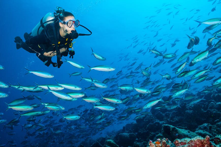 Kvinnlig dykare simmar bland en skola av silverfärgade fiskar och färgglada koraller i Indiska oceanen. 