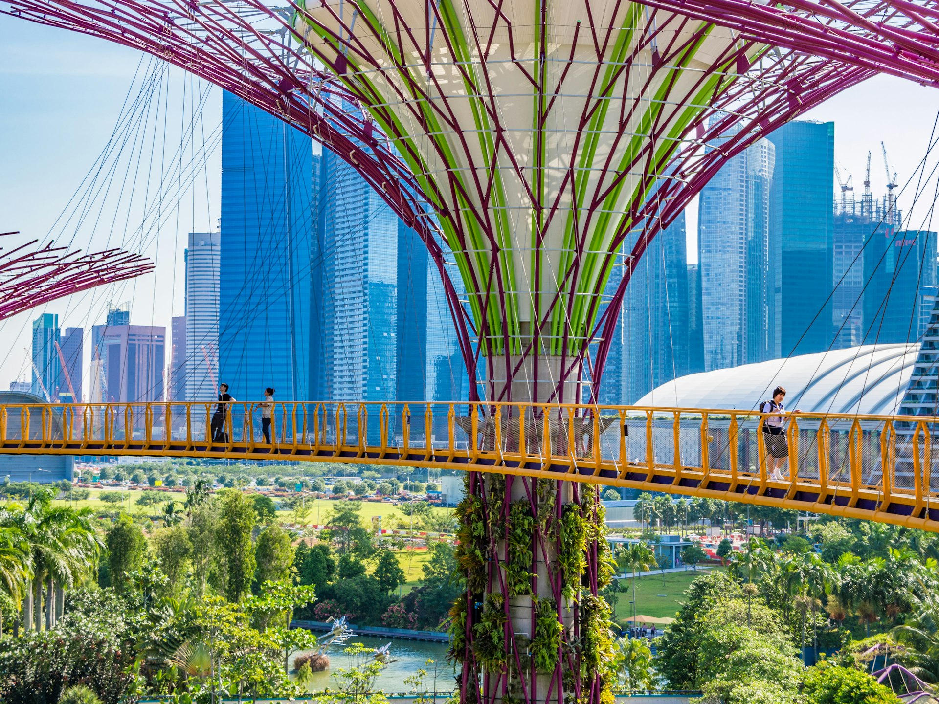 People walking on a canopy bridge in Gardens by the Bay, Singapore
