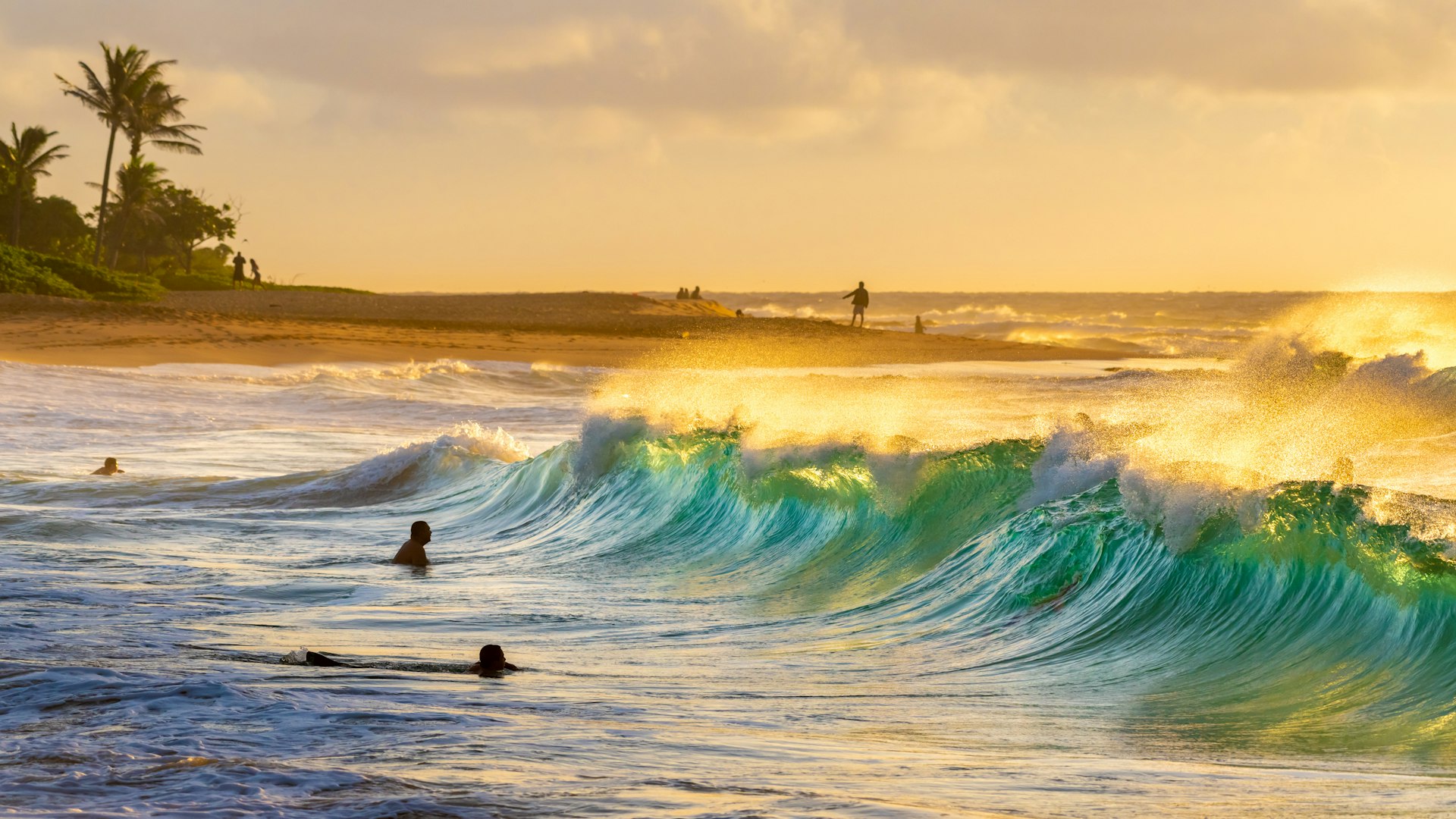 Best places to surf in Hawaii - Lonely Planet