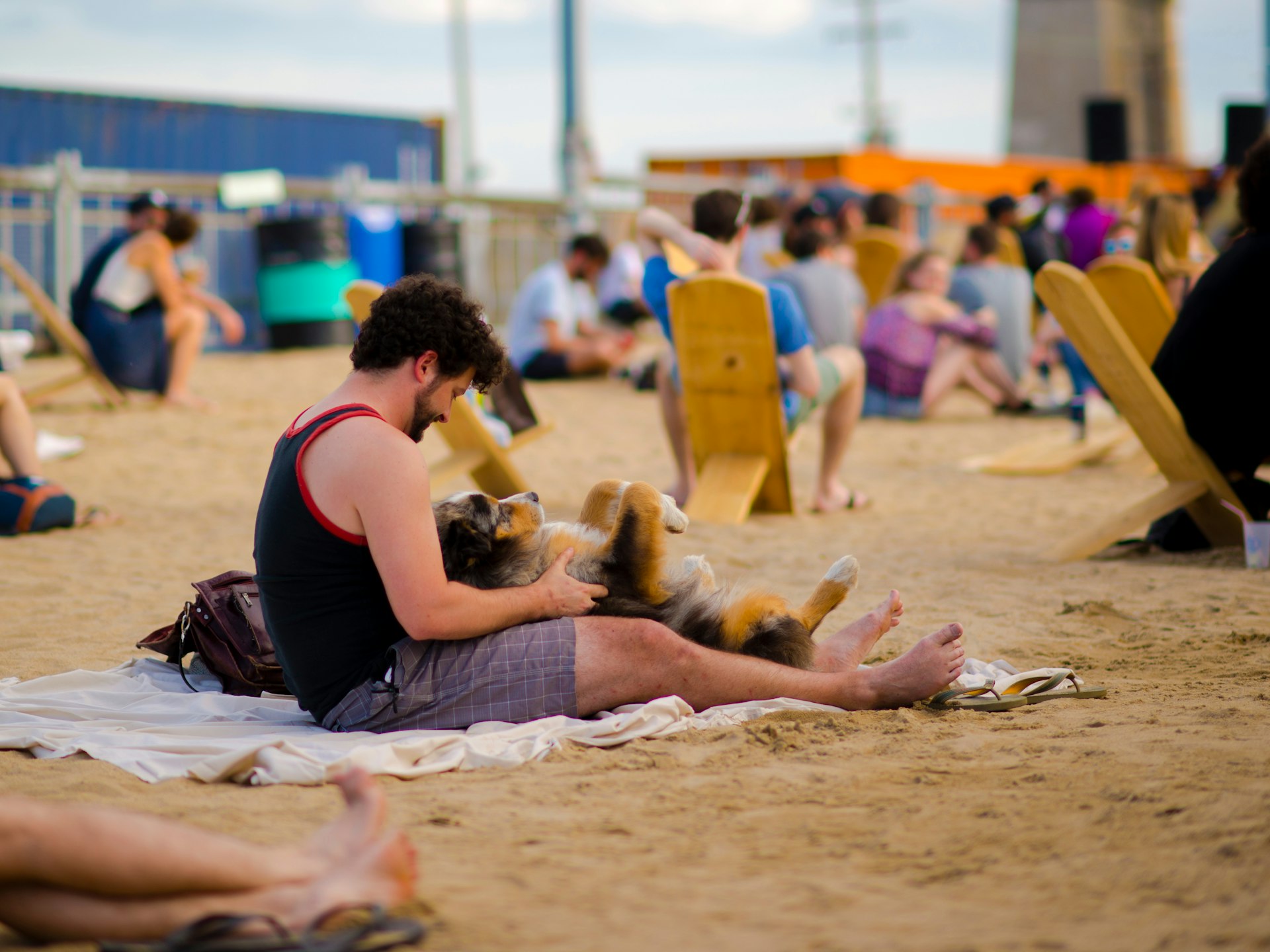 Man playing with his dog at a city beach in Montreal 