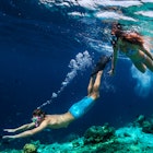 Young couple snorkeling and do skin diving on the coral reef edge in tropical waters of the Maldives