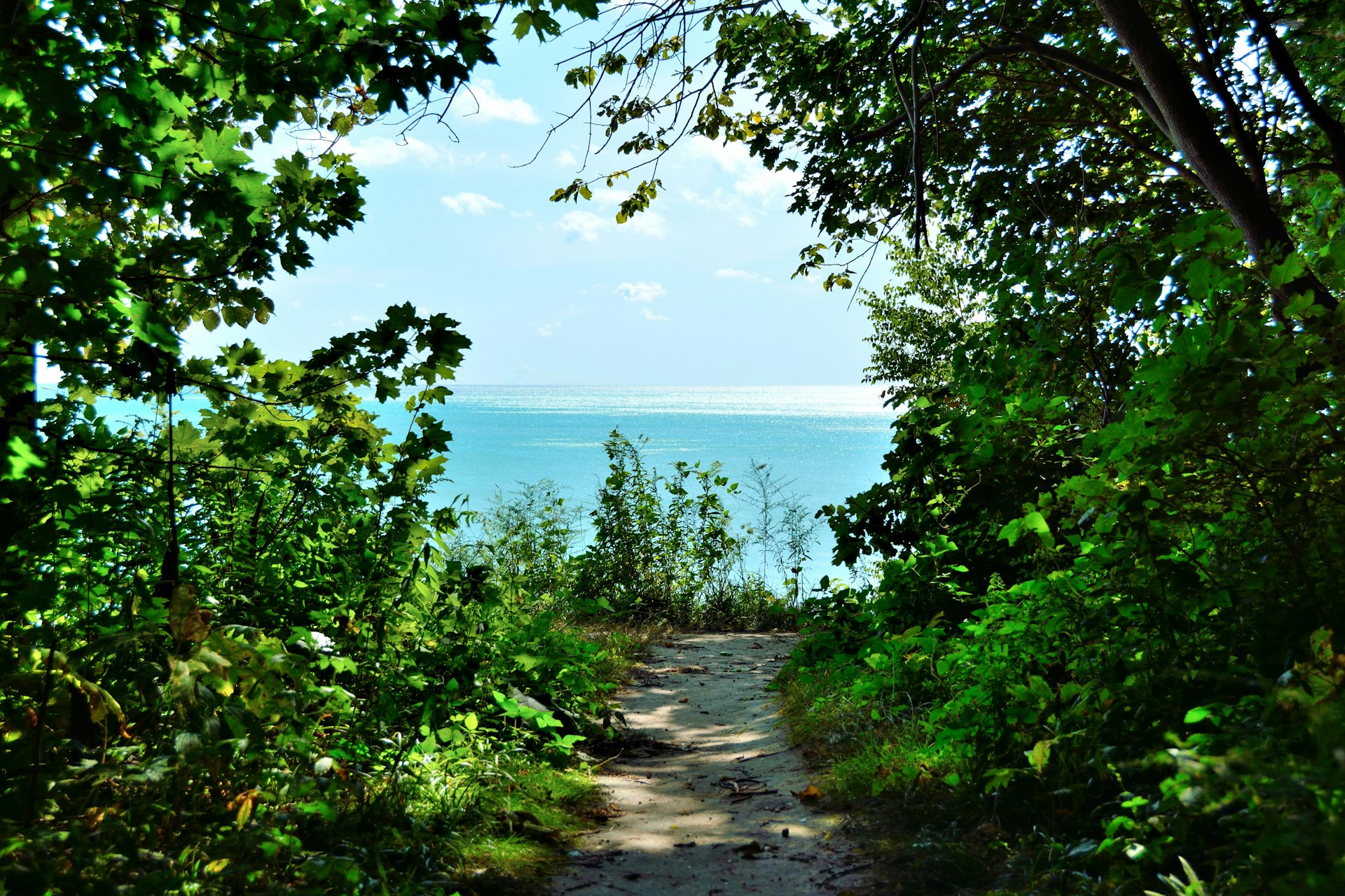 Looking out onto a calm Lake Michigan through a wooded area in Grant Park atop a bluff. The open water if framed by the greenery surrounding the pathway for a spectacular view of the Great Lake