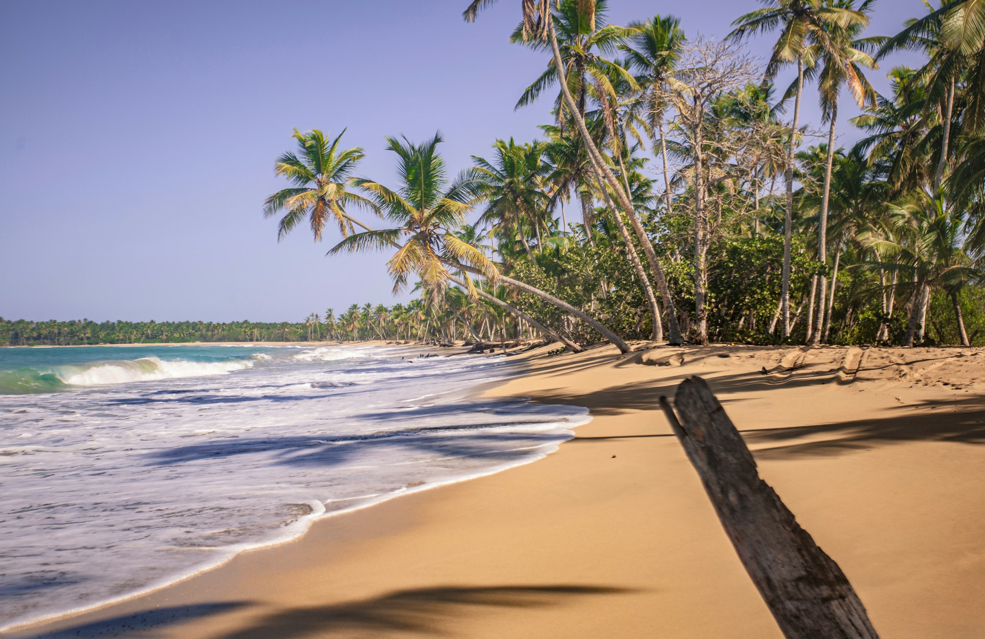 Palm trees and the beach at Playa el Limón, Dominican Republic