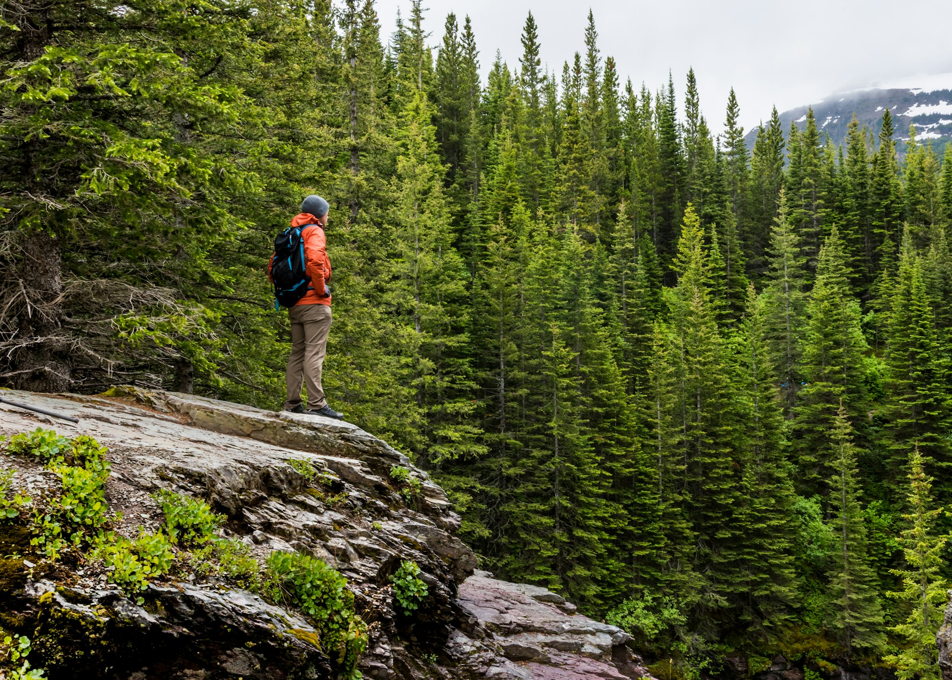 A male hiker stands on a rocky outcrop in the forest looking out at the view