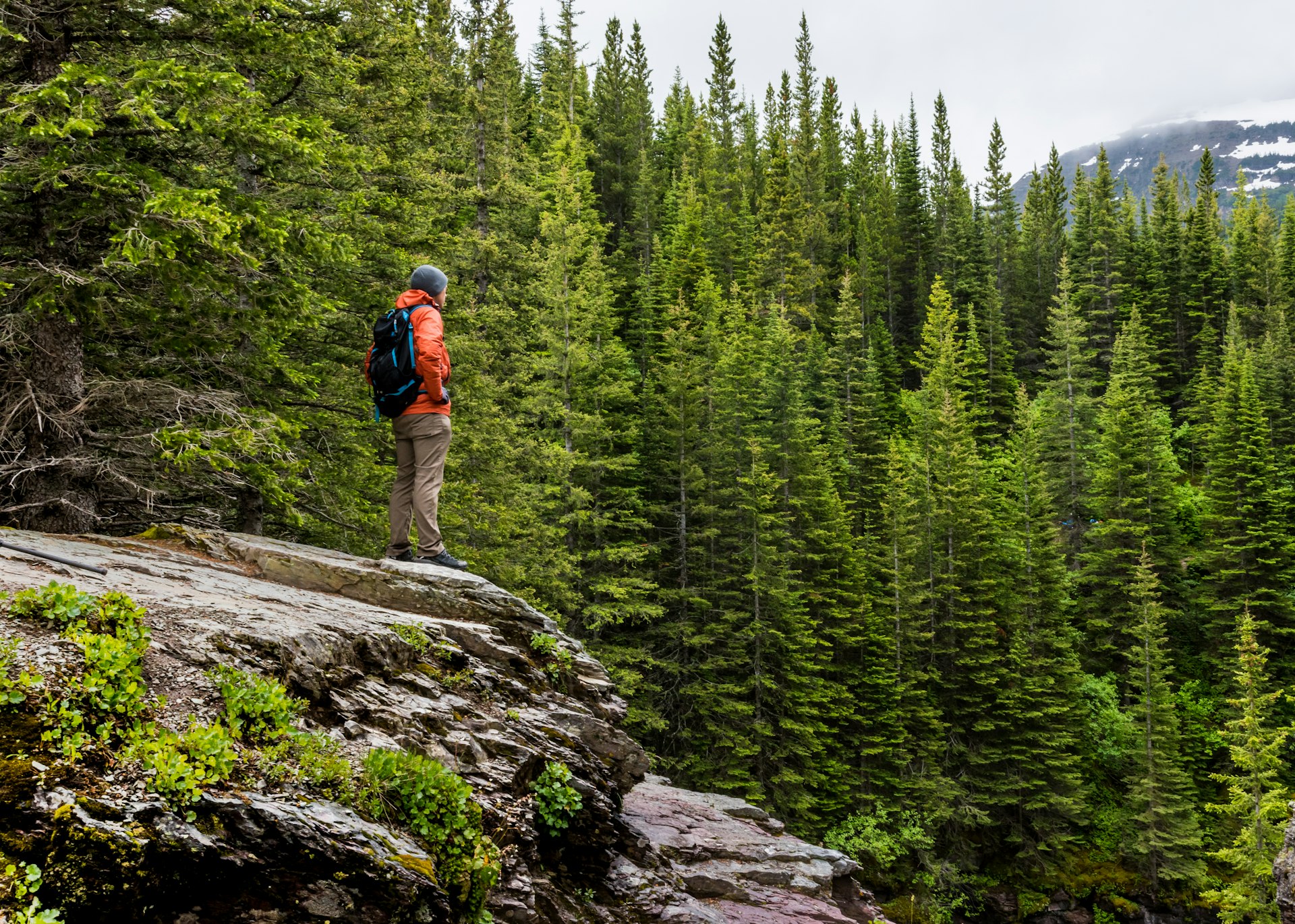 Hiker looking out over the forest in Montana