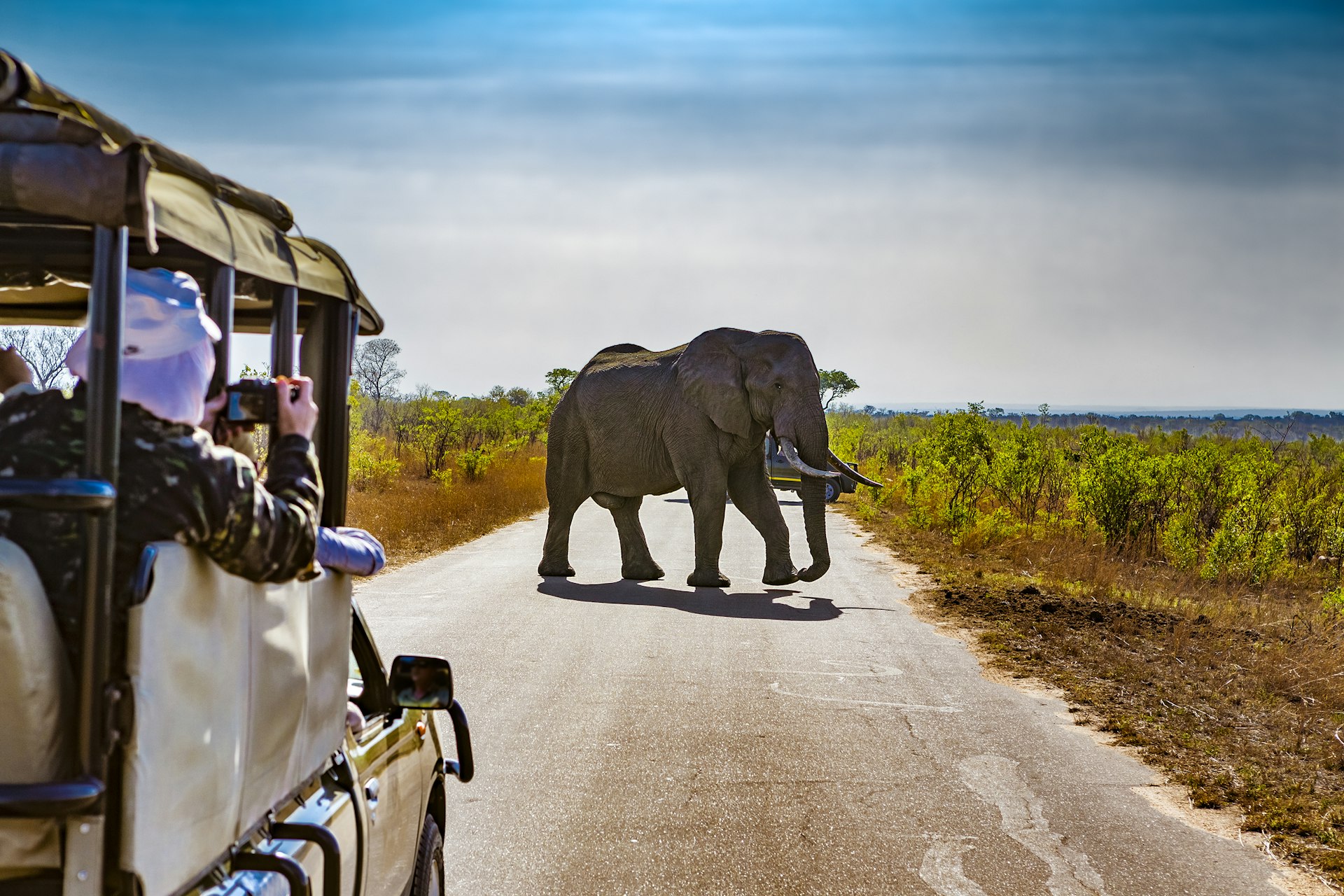 People in a safari jeep taking photos of an elephant in Kruger National Park, South Africa