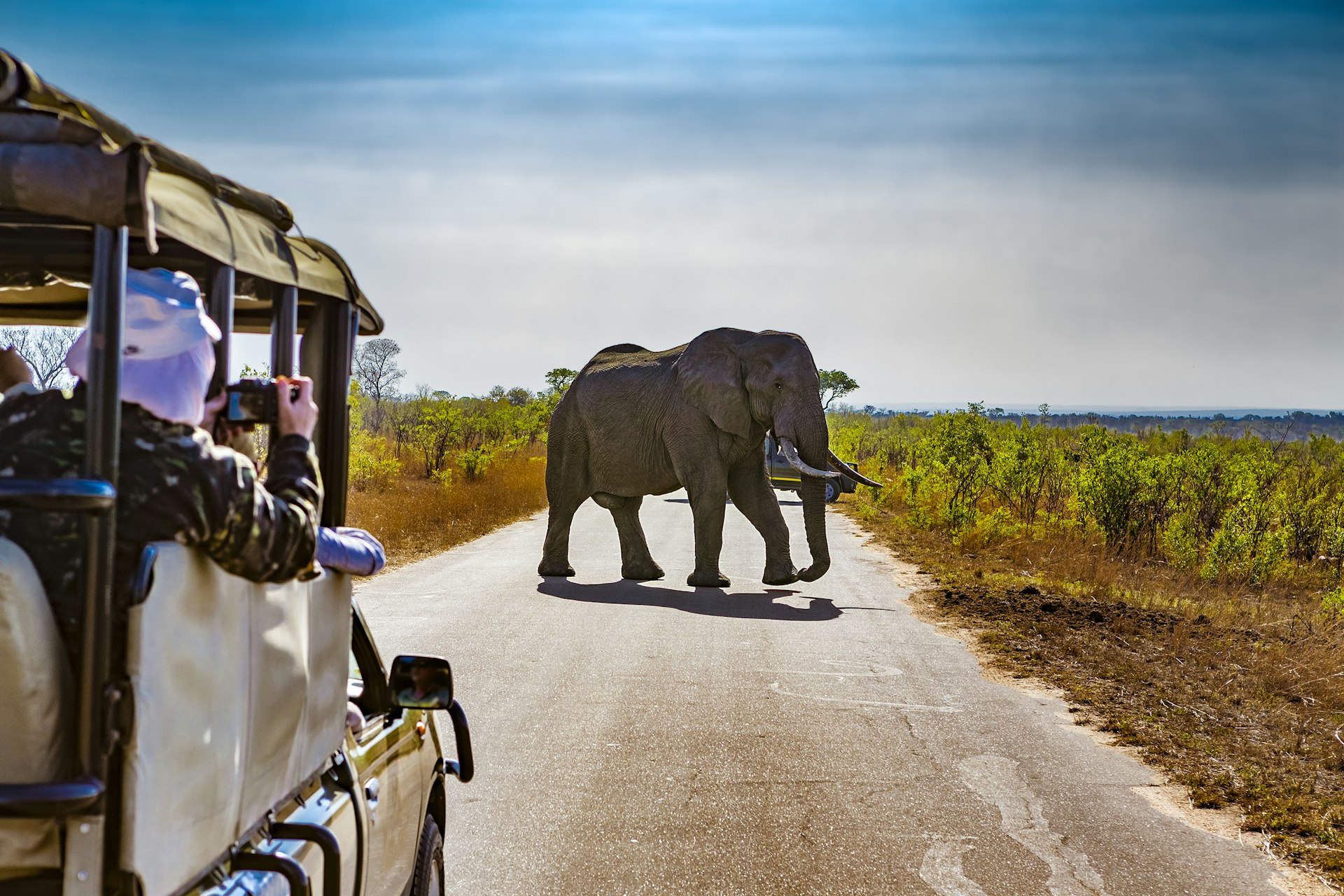 People taking photos of elephants on a safari jeep in South Africa's Kruger National Park