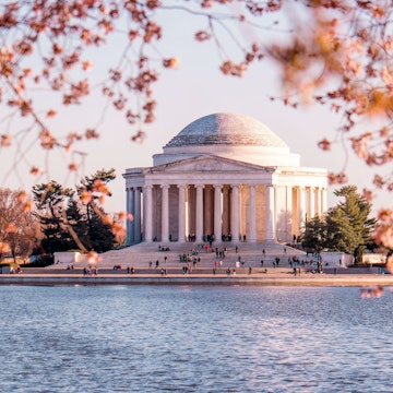 Cherry blossom season at the Thomas Jefferson Memorial.