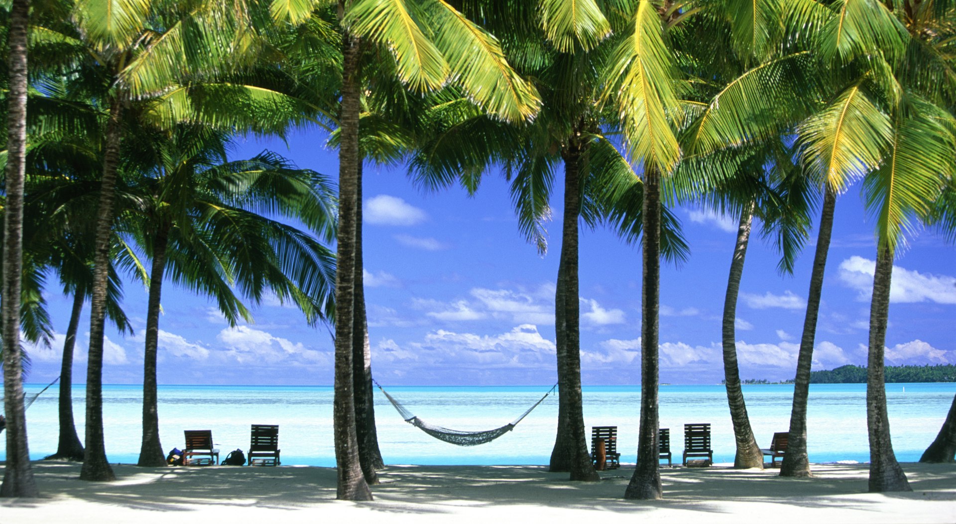 Palm trees and a hammock on Aitutaki, Cook Islands