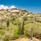 Ayo Rock formation and typical cacti in the Arikok national park, Aruba