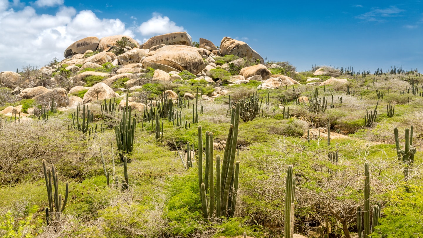 Ayo Rock formation and typical cacti in the Arikok national park, Aruba