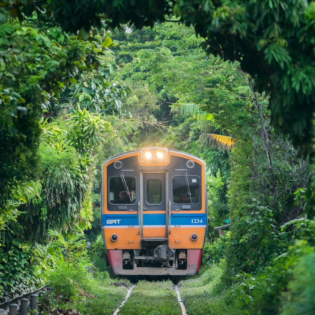 BANGKOK, THAILAND-September 10,2018; Train through the tree tunnel, Thai Railway Wongwain Yai to Mahachai Line, Thai Suburban train.