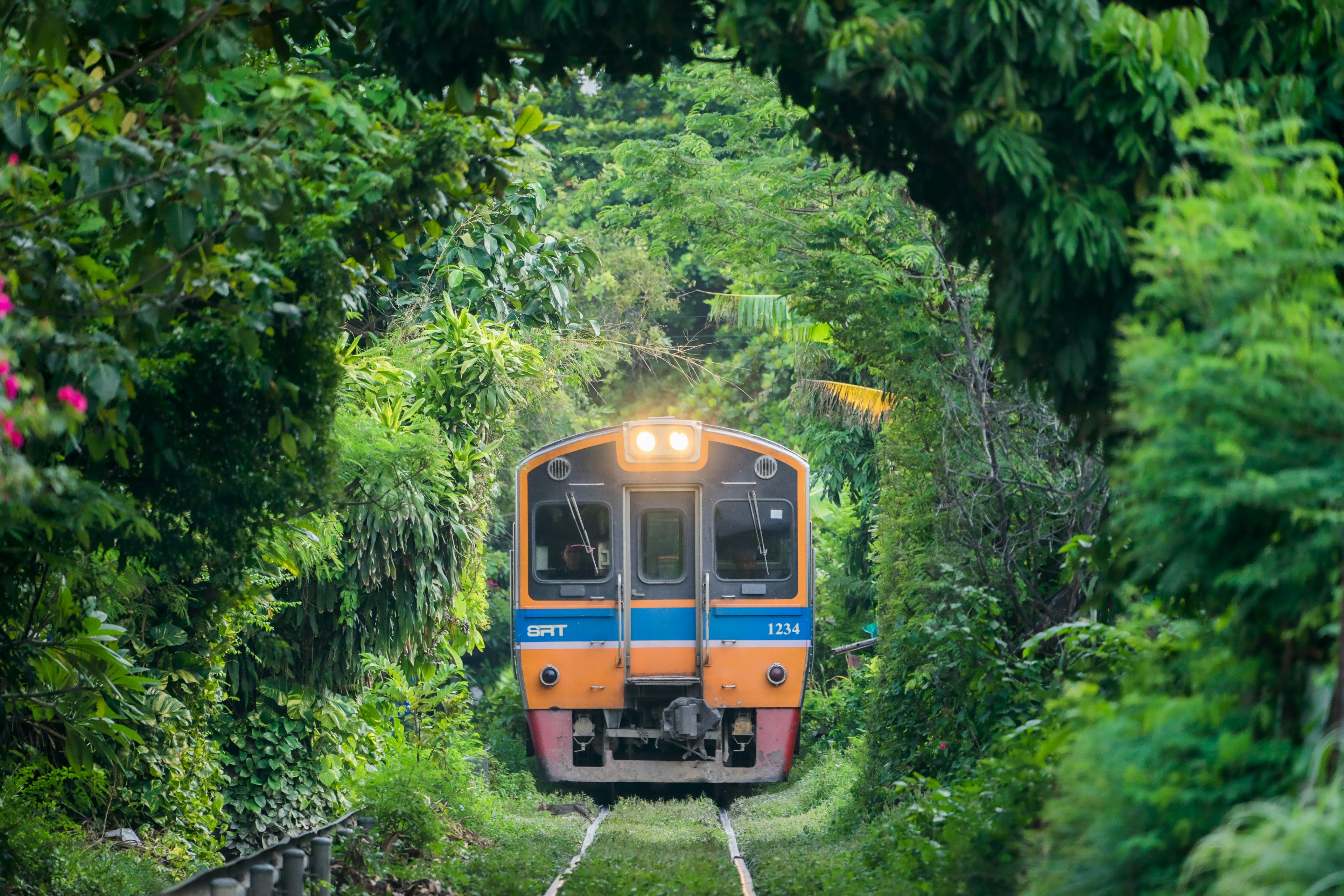 BANGKOK, THAILAND-September 10,2018; Train through the tree tunnel, Thai Railway Wongwain Yai to Mahachai Line, Thai Suburban train.