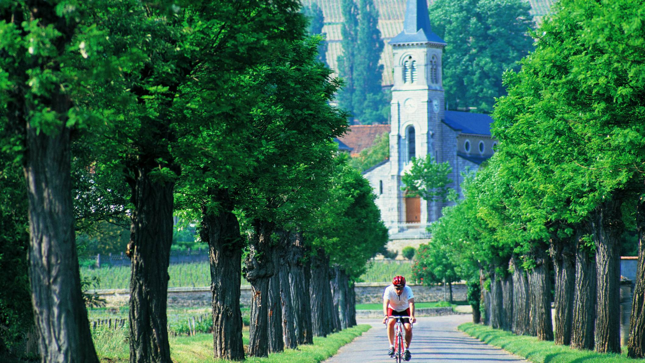 A man cycling in the Burgundy countryside