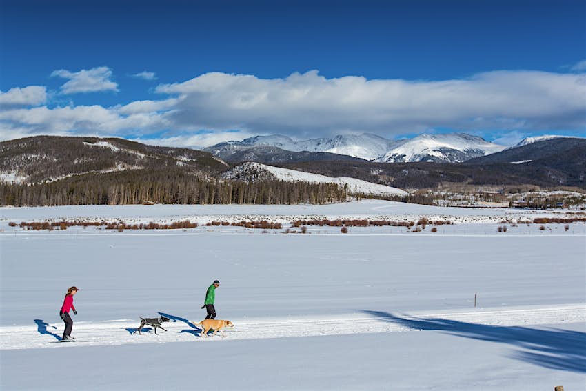 Un homme et une femme font du ski de fond avec leurs chiens dans le parc d'hiver du Colorado