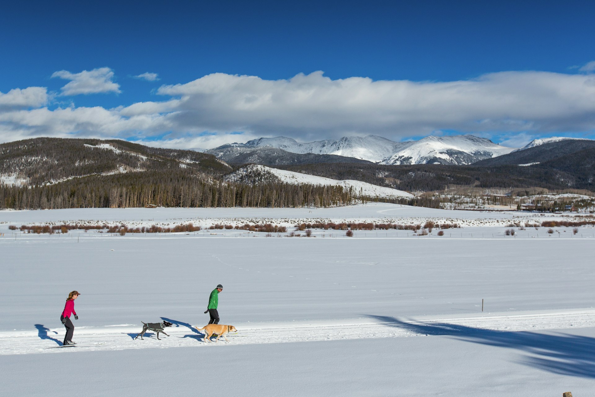 A man and woman cross-country ski with their dogs in Winter Park, Colorado