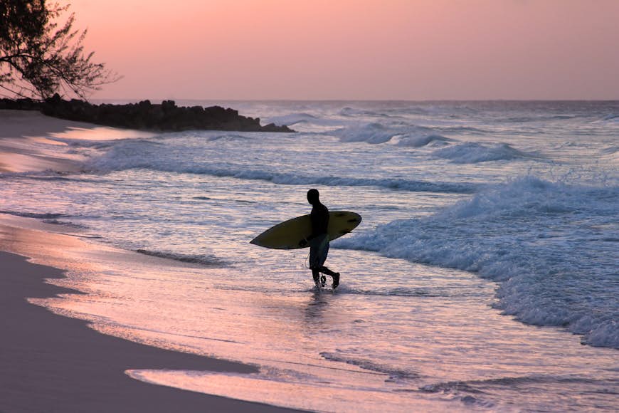 Surfer emerging from the waves at sunset in Barbados