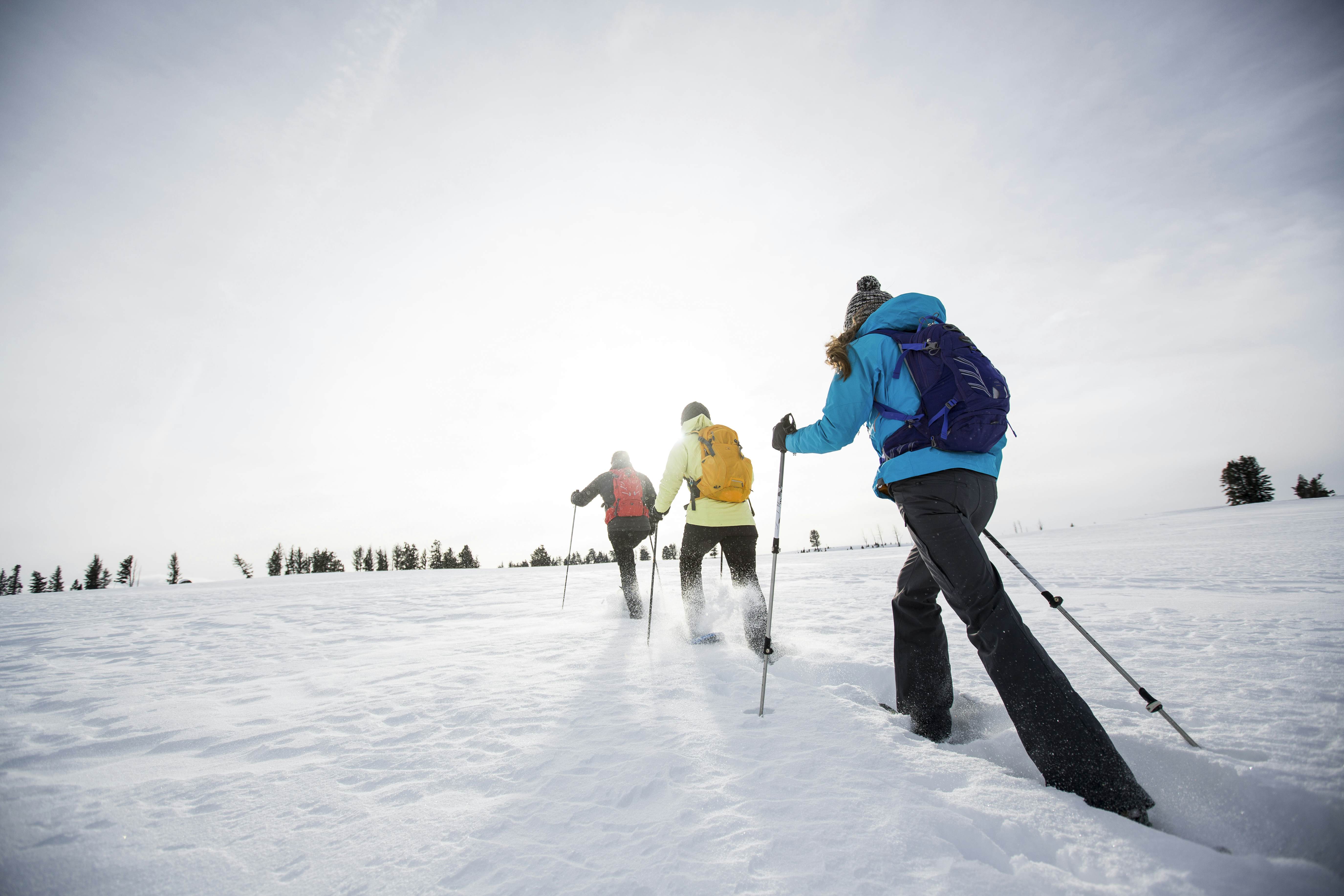 Fly fishing and beyond: 8 Montana adventures - Lonely Planet