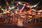 Banyan Tree at Night with Colored Lights - stock photo
This tree in Lahaina, Maui is the largest in Hawaii and was planted in 1873.