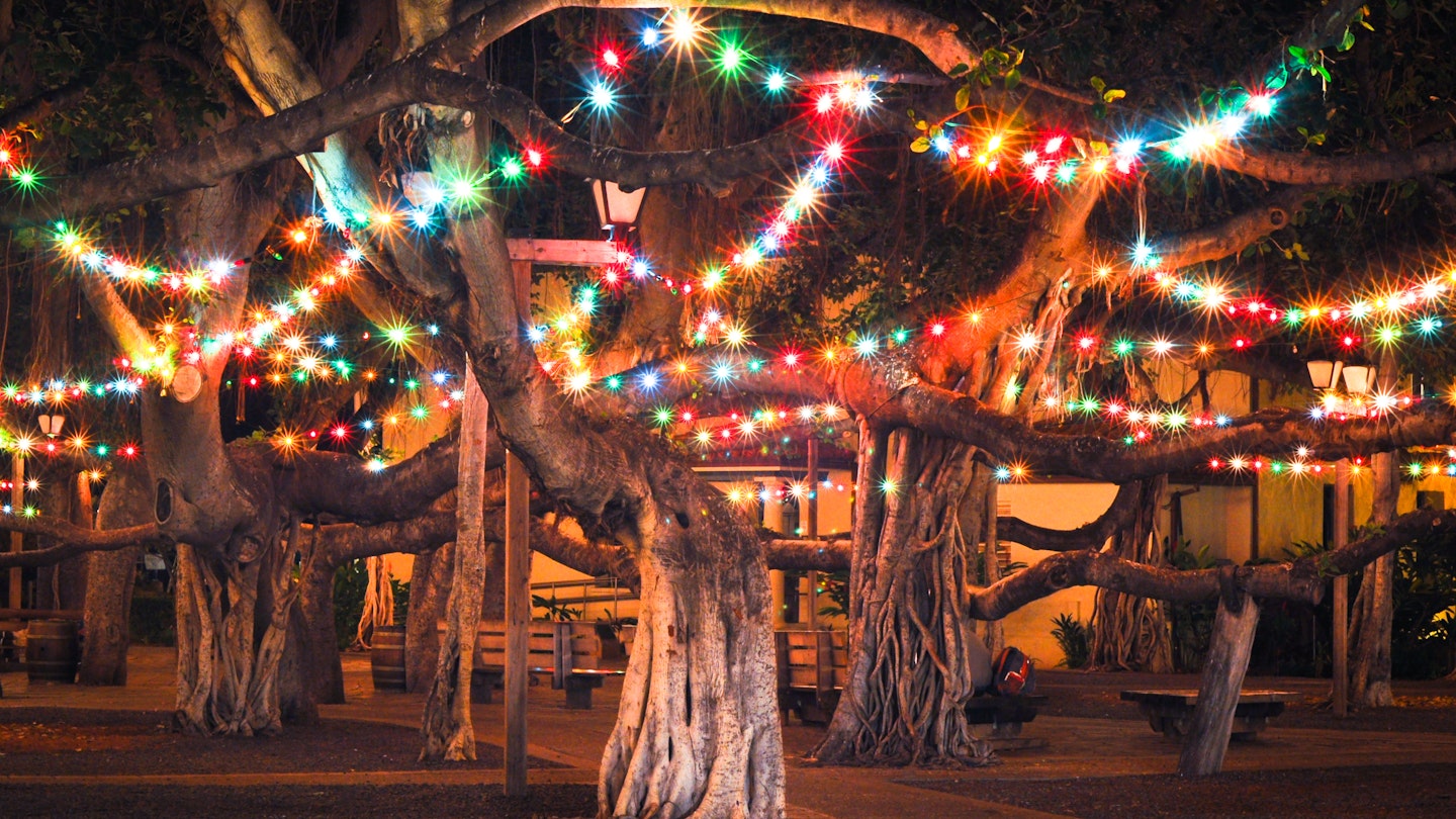 Banyan Tree at Night with Colored Lights - stock photo
This tree in Lahaina, Maui is the largest in Hawaii and was planted in 1873.