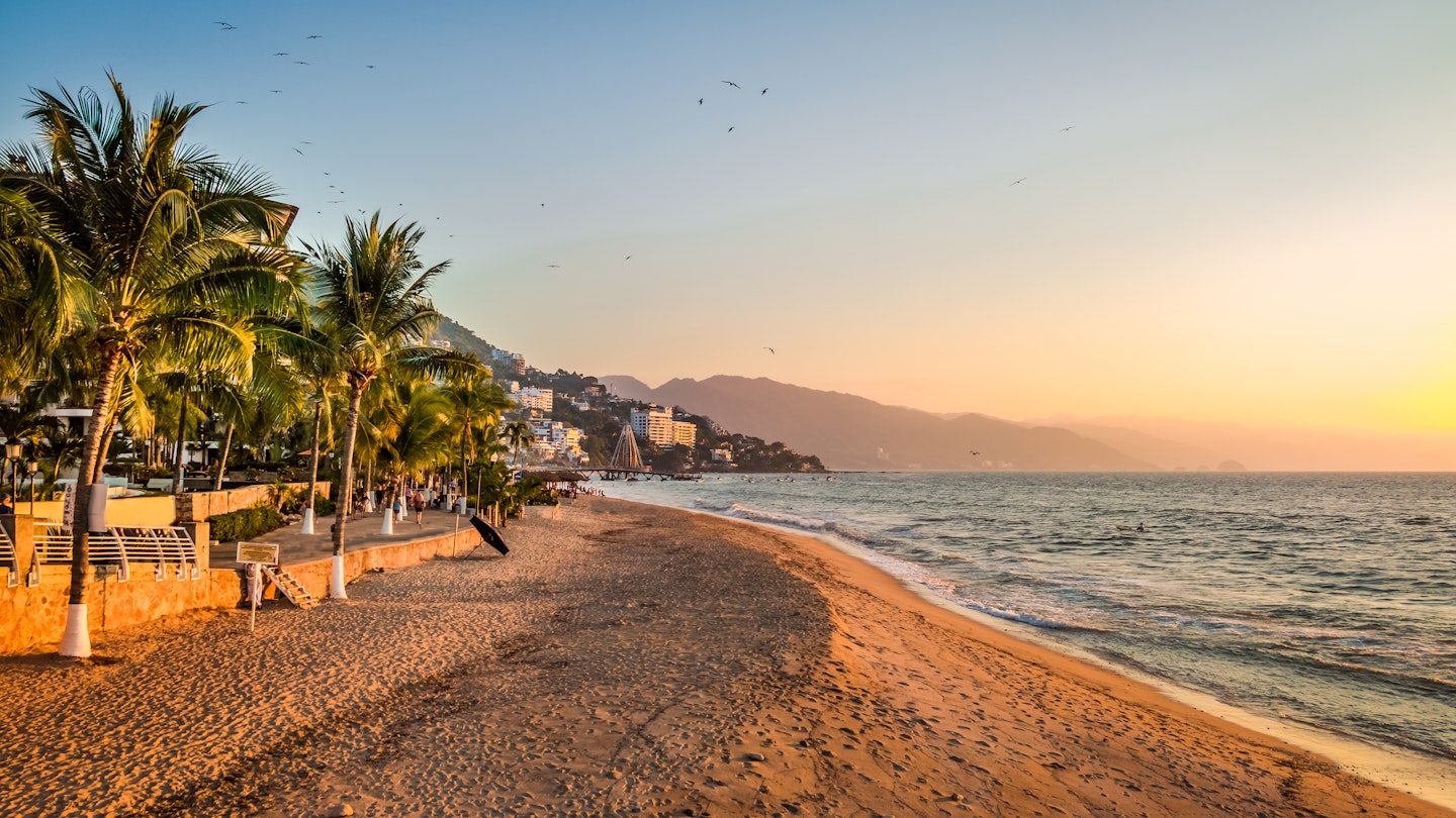 Puerto Vallarta sunset and palms - Puerto Vallarta, Jalisco, Mexico