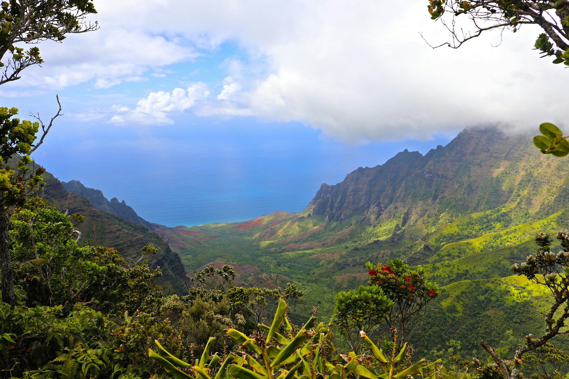Na Pali Coastline, Pu'u O Kila overlook, Waimea Canyon State Park, Koke'e State Park, Kauai, Hawaii