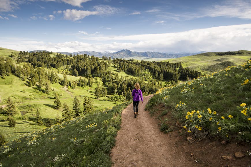 En kvinna som vandrar i ett grönt landskap nära Bozeman, Montana