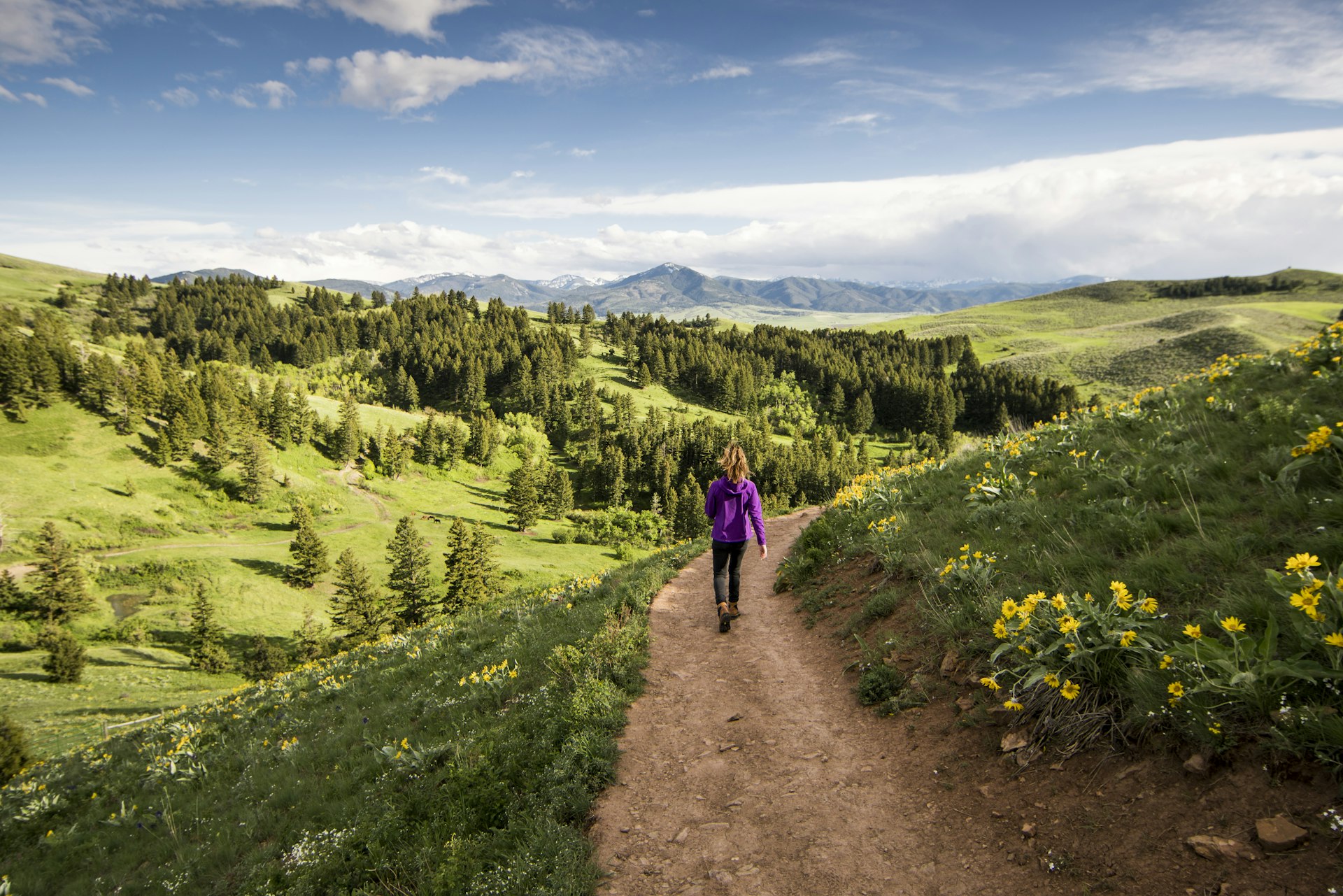 A woman hiking in a green landscape near Bozeman, Montana