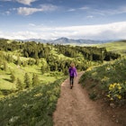 A women hiking in a green landscape near Bozeman, Montana