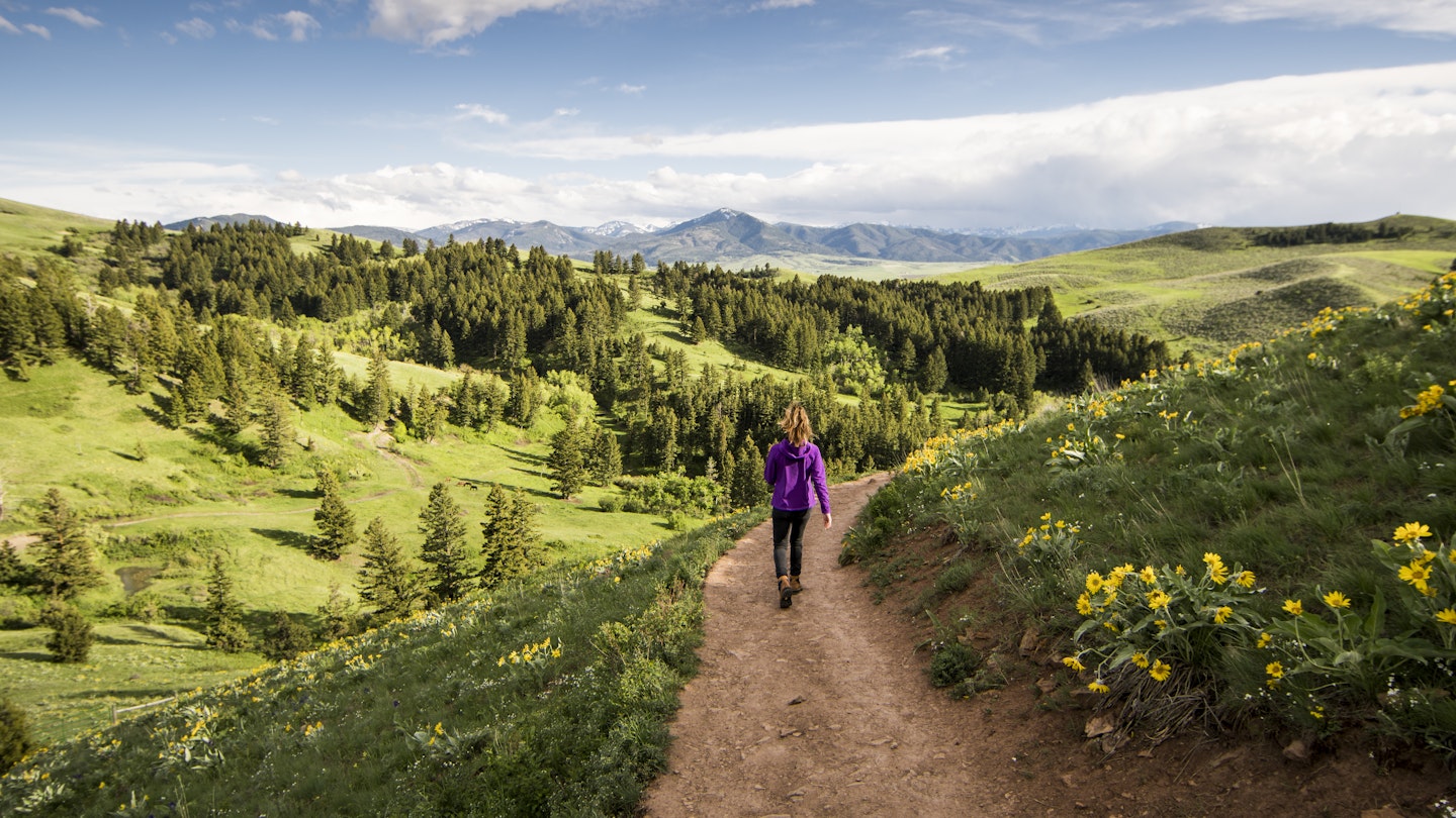 A women hiking in a green landscape near Bozeman, Montana