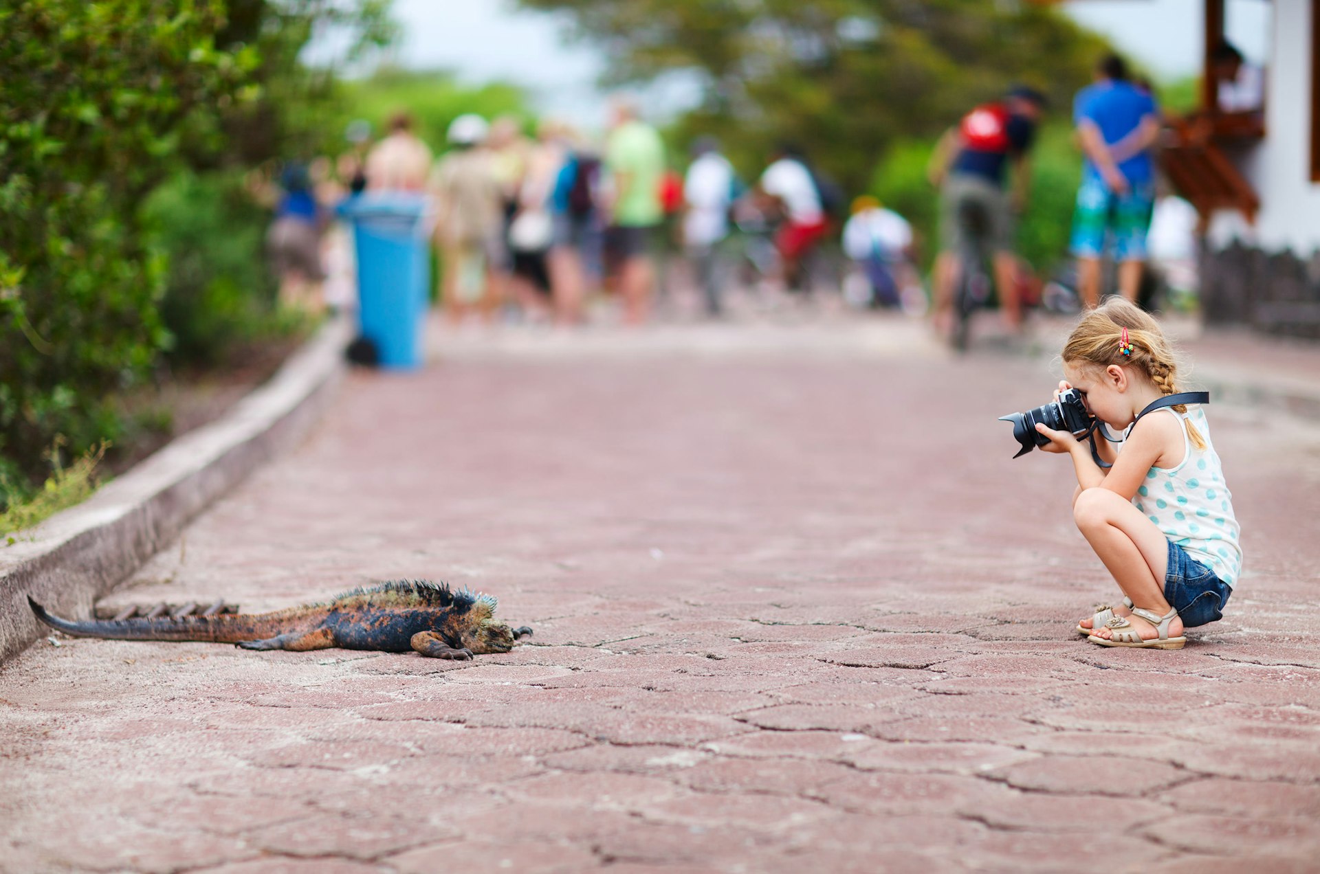 Young nature photographer on the Galapagos Islands