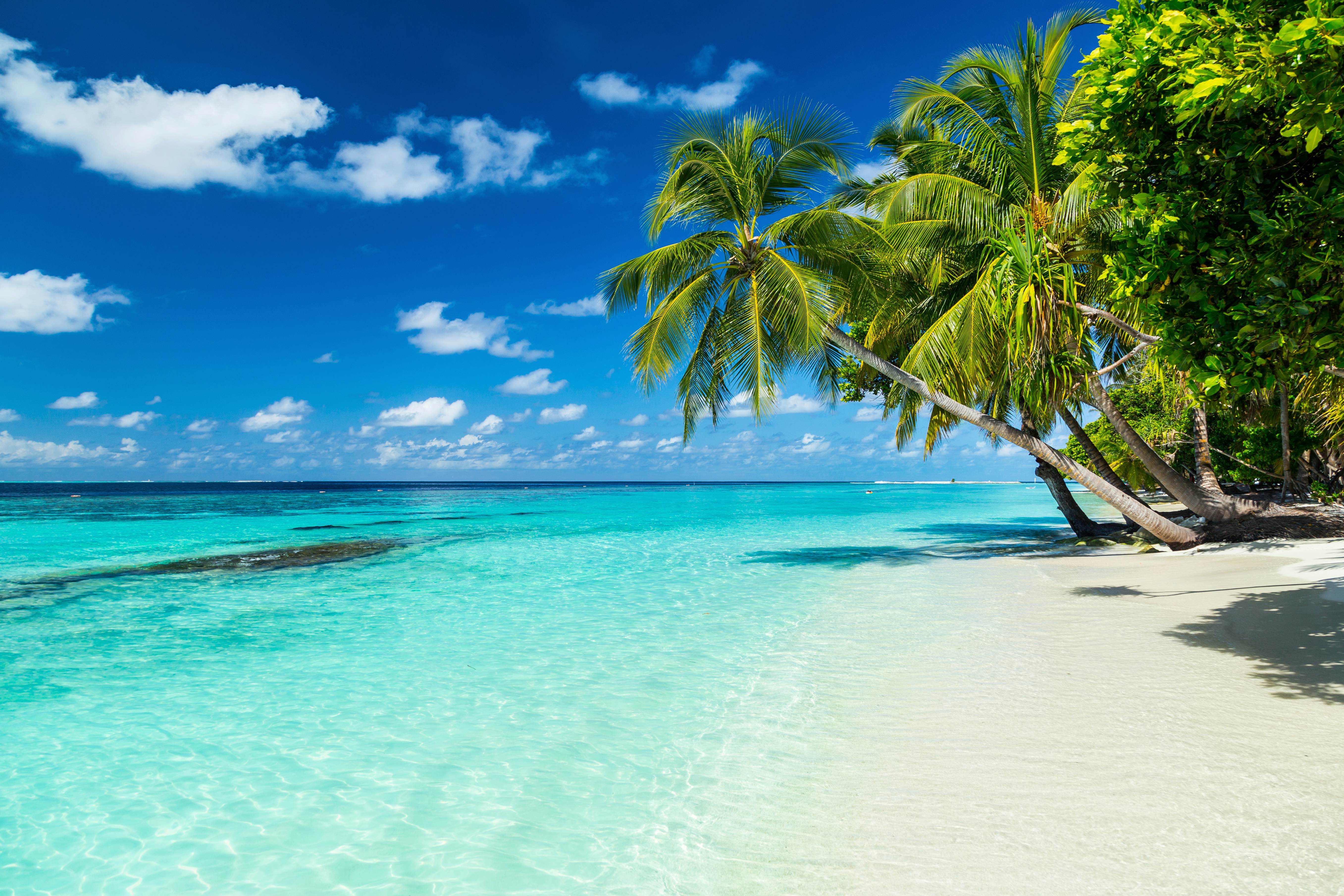 Best Beaches In Maldives - Lonely Planet