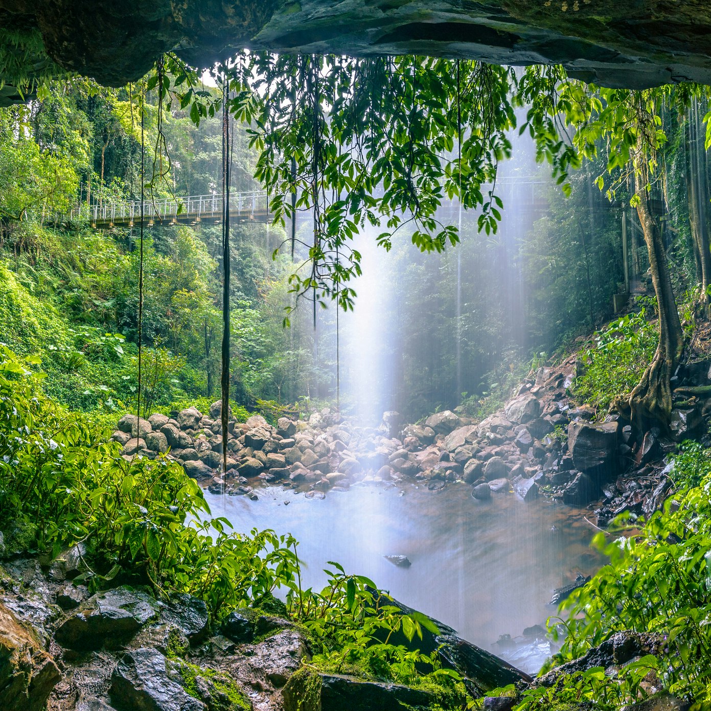 Crystal Shower Falls in Gondwana Rainforest at Dorrigo National Park, New South Wales