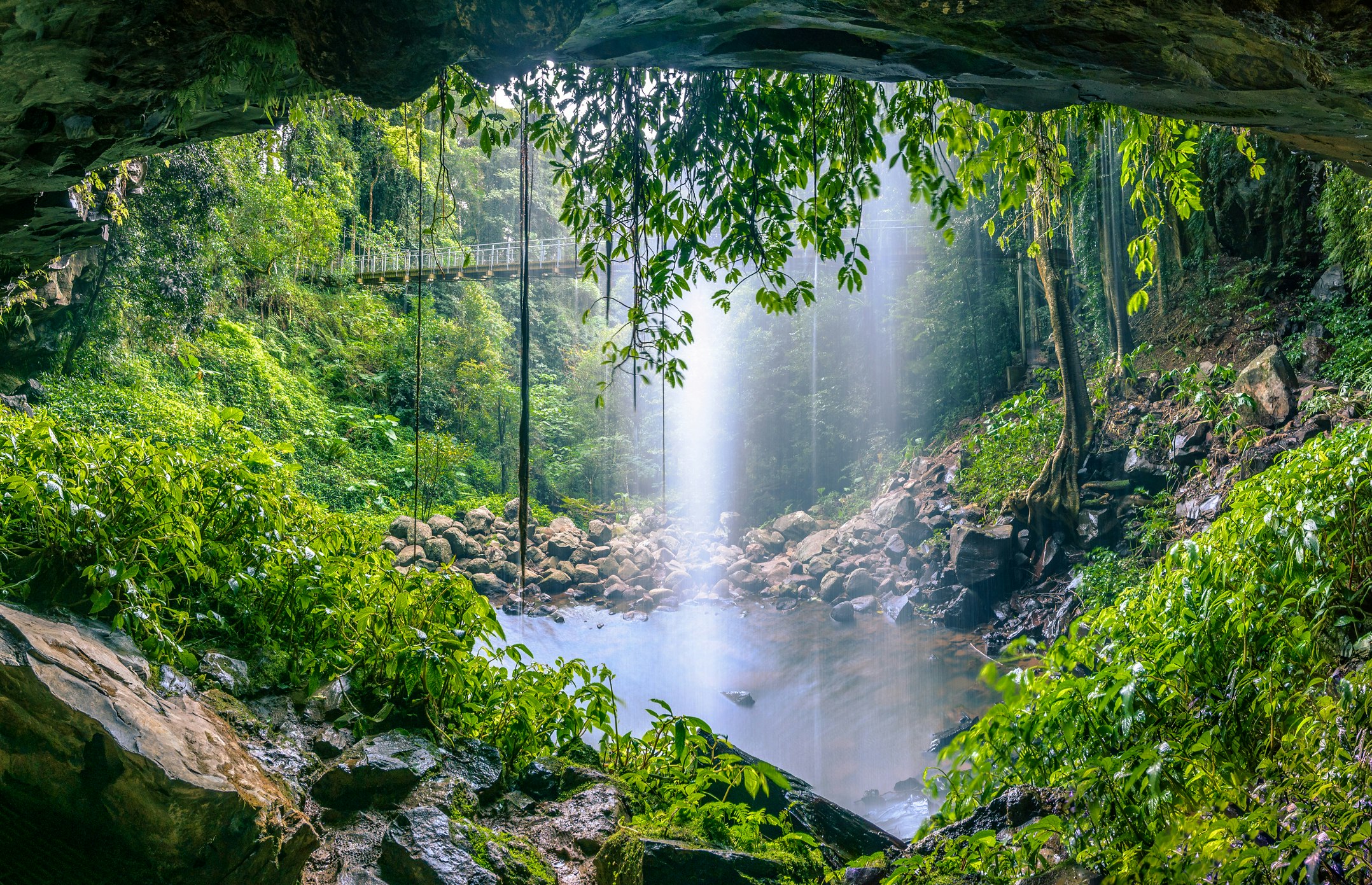 Crystal Shower Falls in the Gondwana Rainforest at Dorrigo National Park, New South Wales