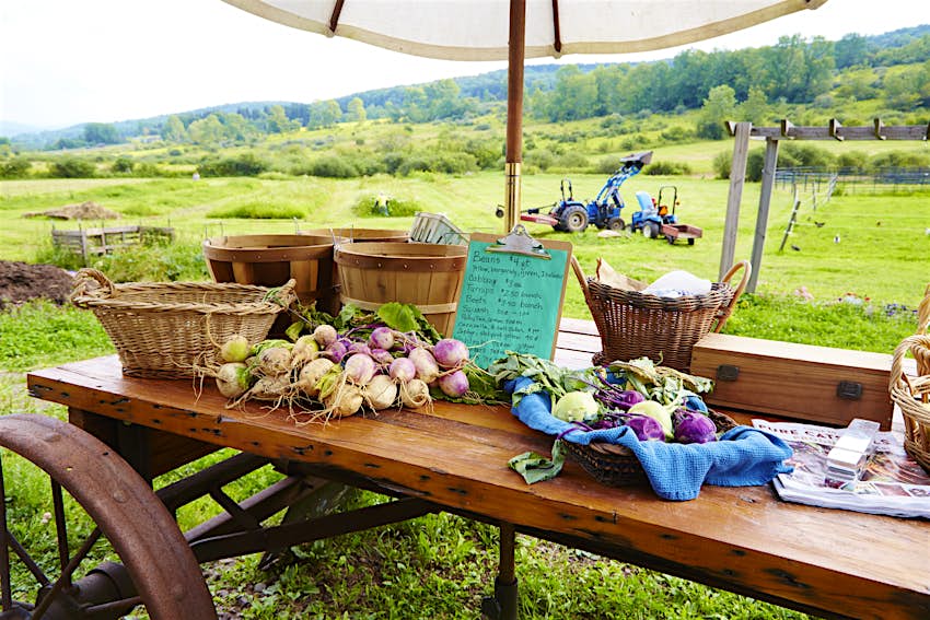 Vegetables at a farmers stand in Catskills