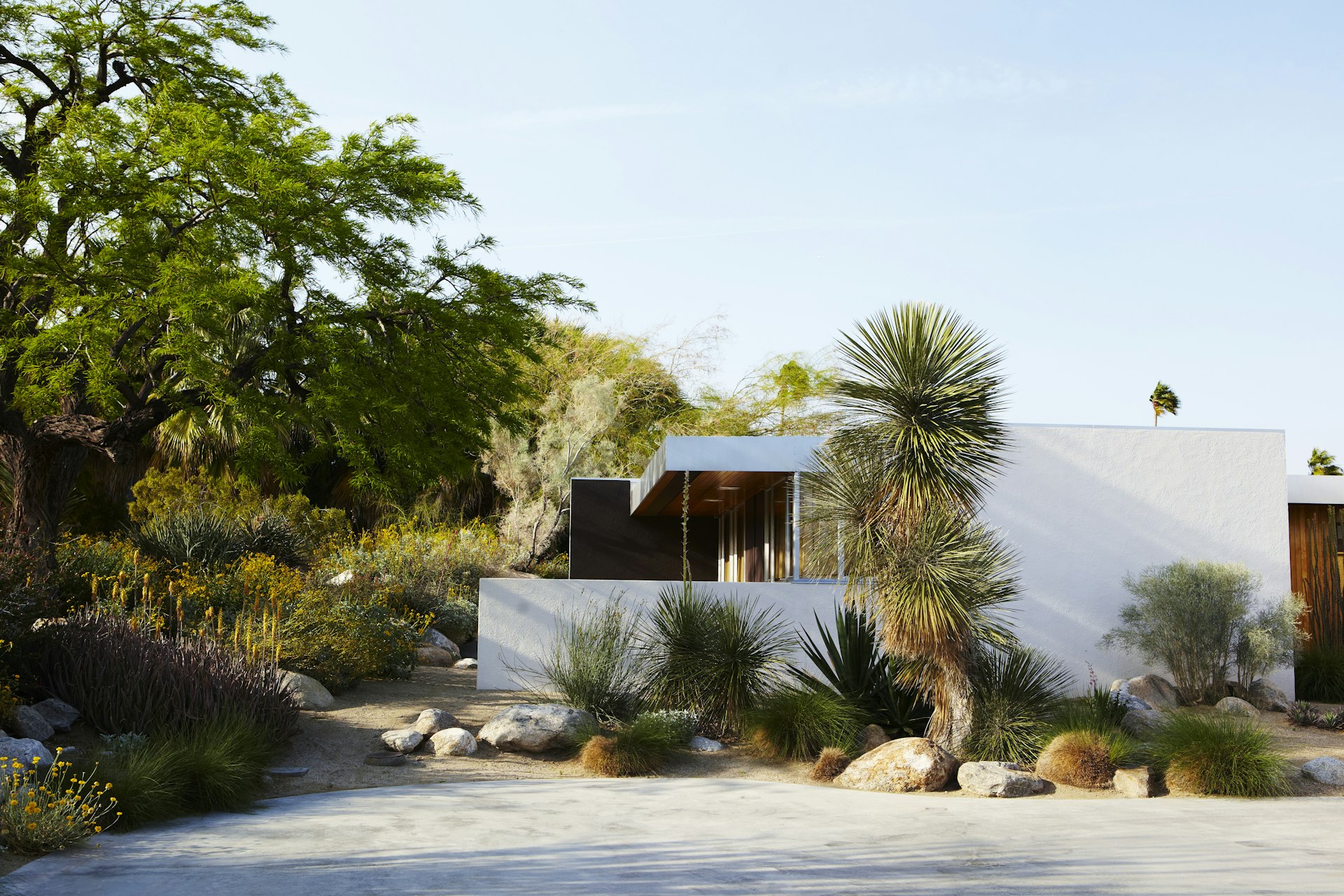 A white low-rise square designer home with straight lines. The yard is lined with palm trees 