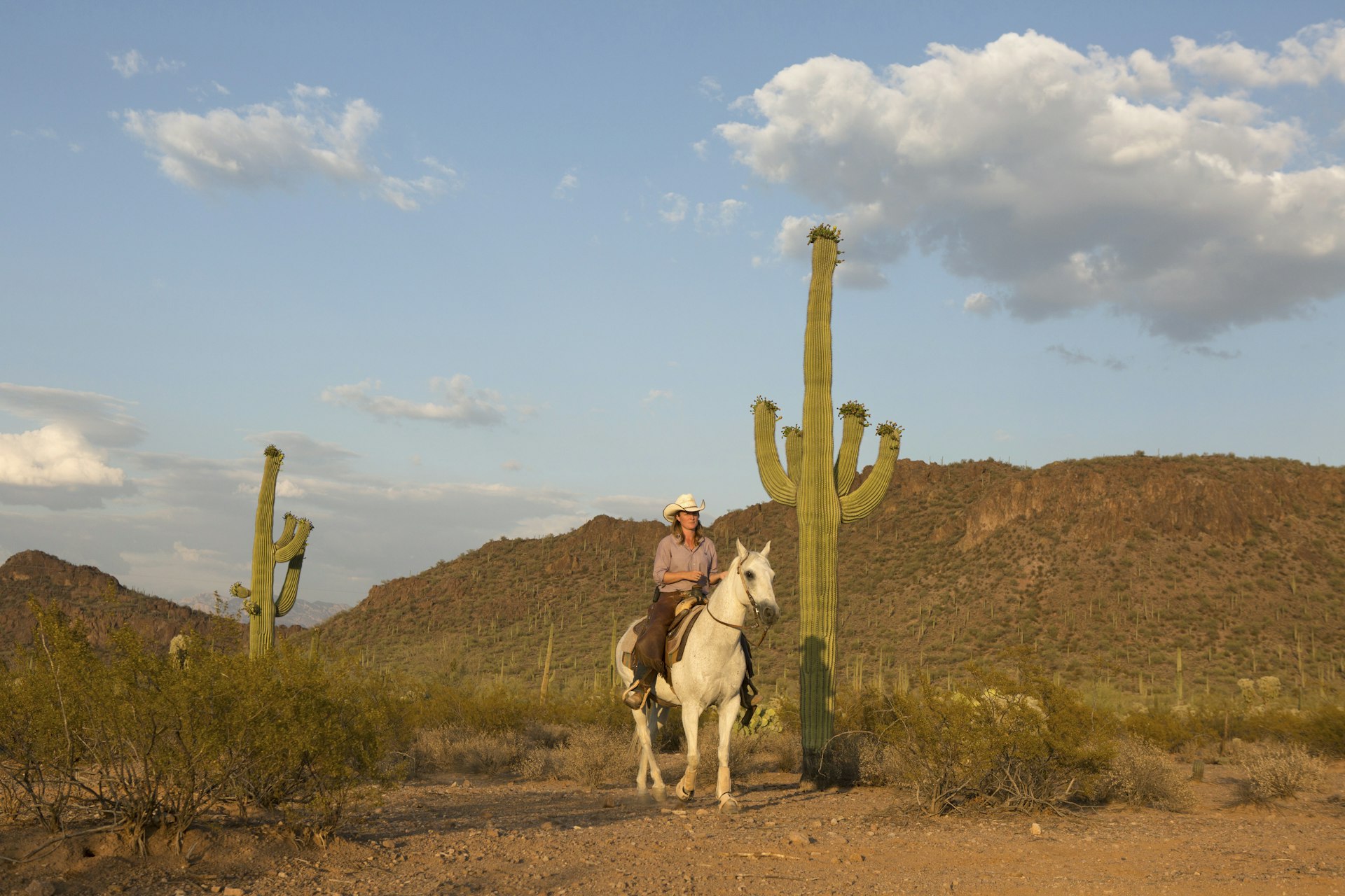 Woman on a white horse in a desert setting