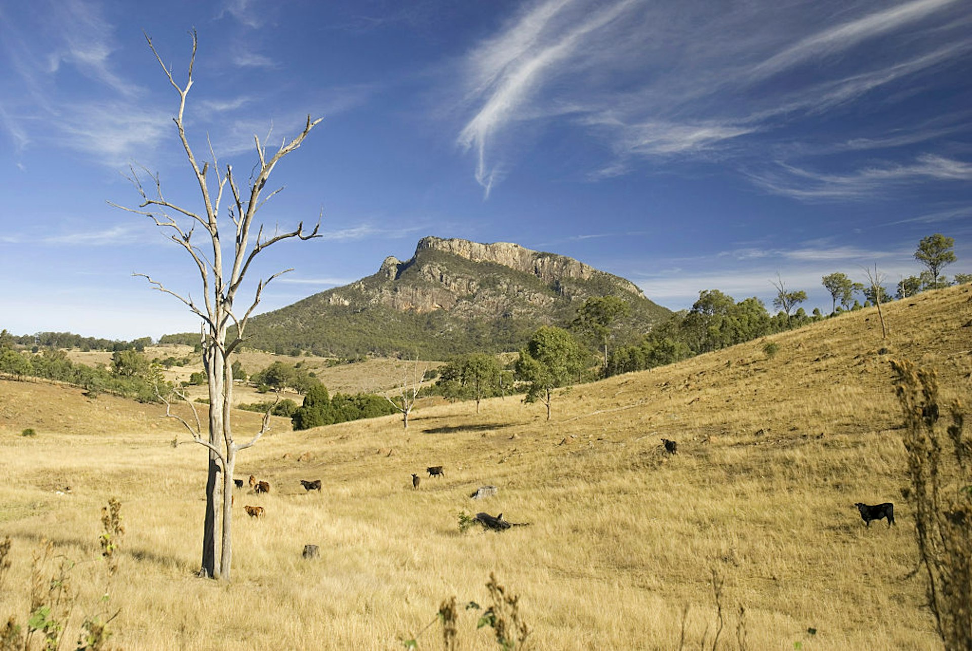 Mount Maroon with cirrus cloud overhead in Mount Barney National Park in Australia