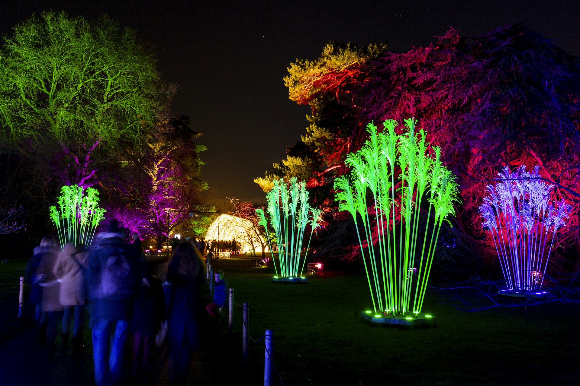 A neon-lit plants outdoor path at the Brooklyn Botanic Garden