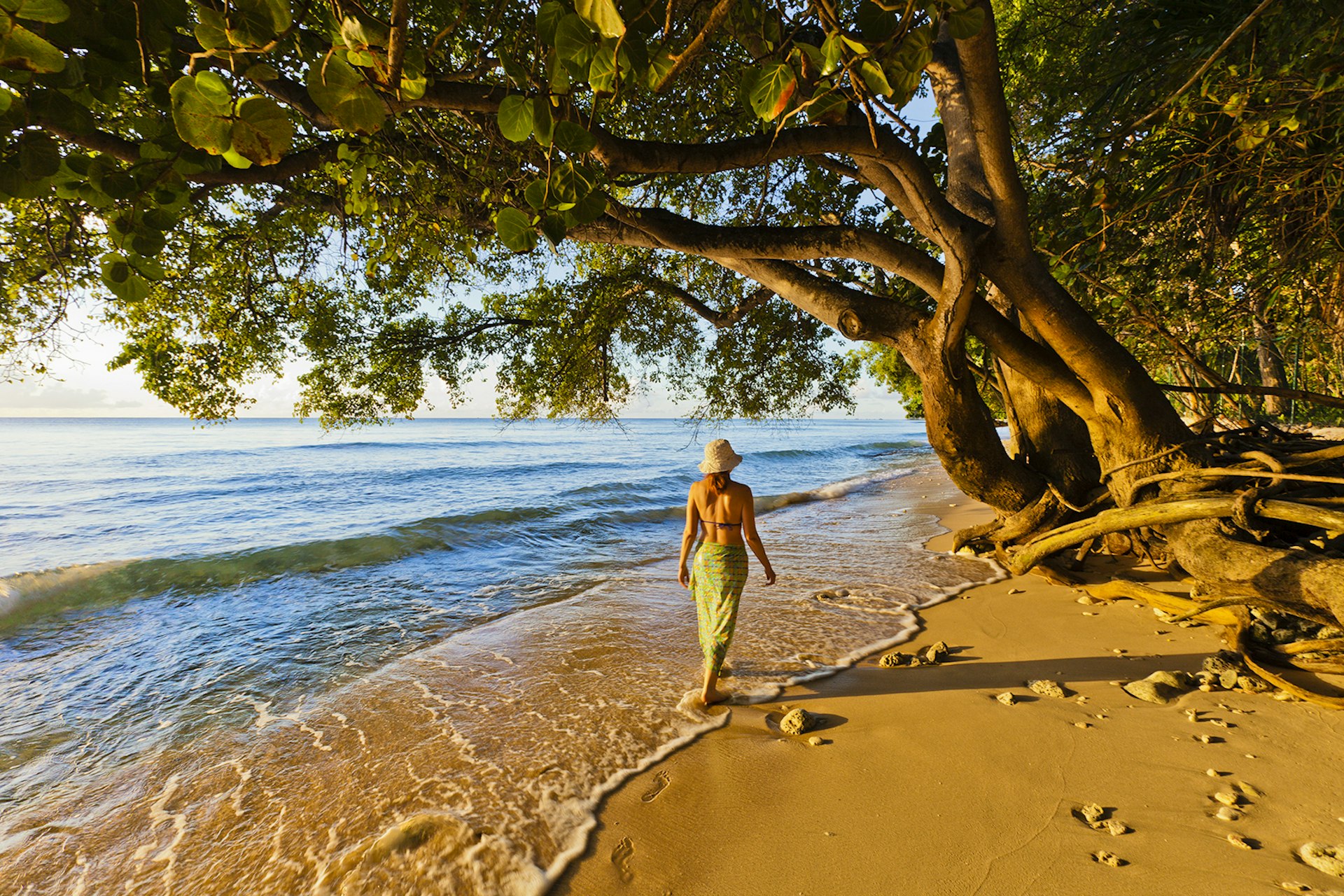 A woman wearing a straw hat, bikini top and sarong walks on the shore at Paynes Bay at sunset, Barbados
